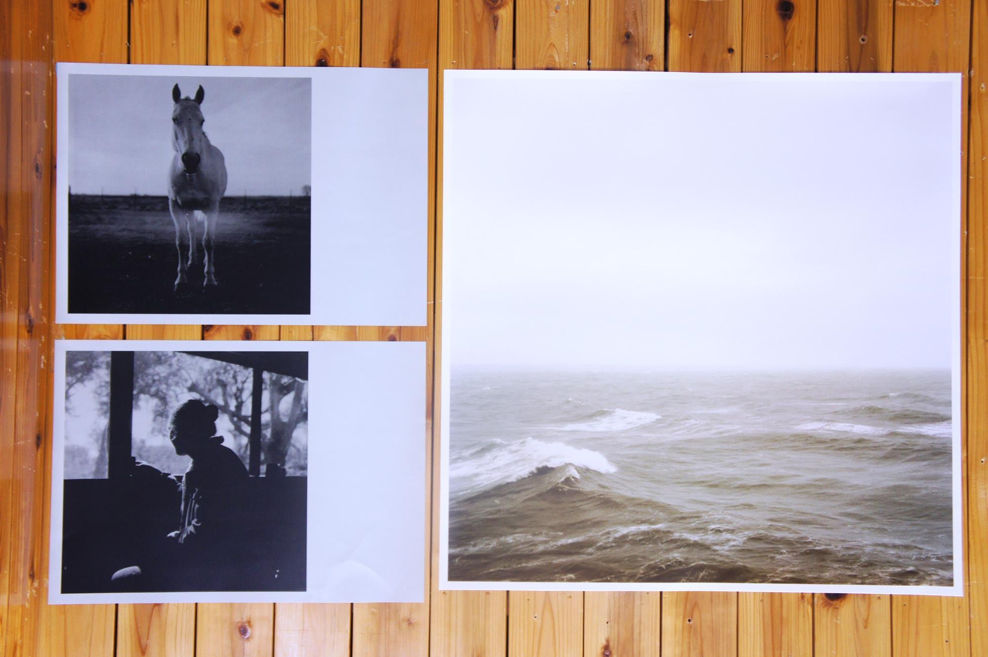 Les Chroniques Purple — エレン・フライスが紡ぐクロニクル