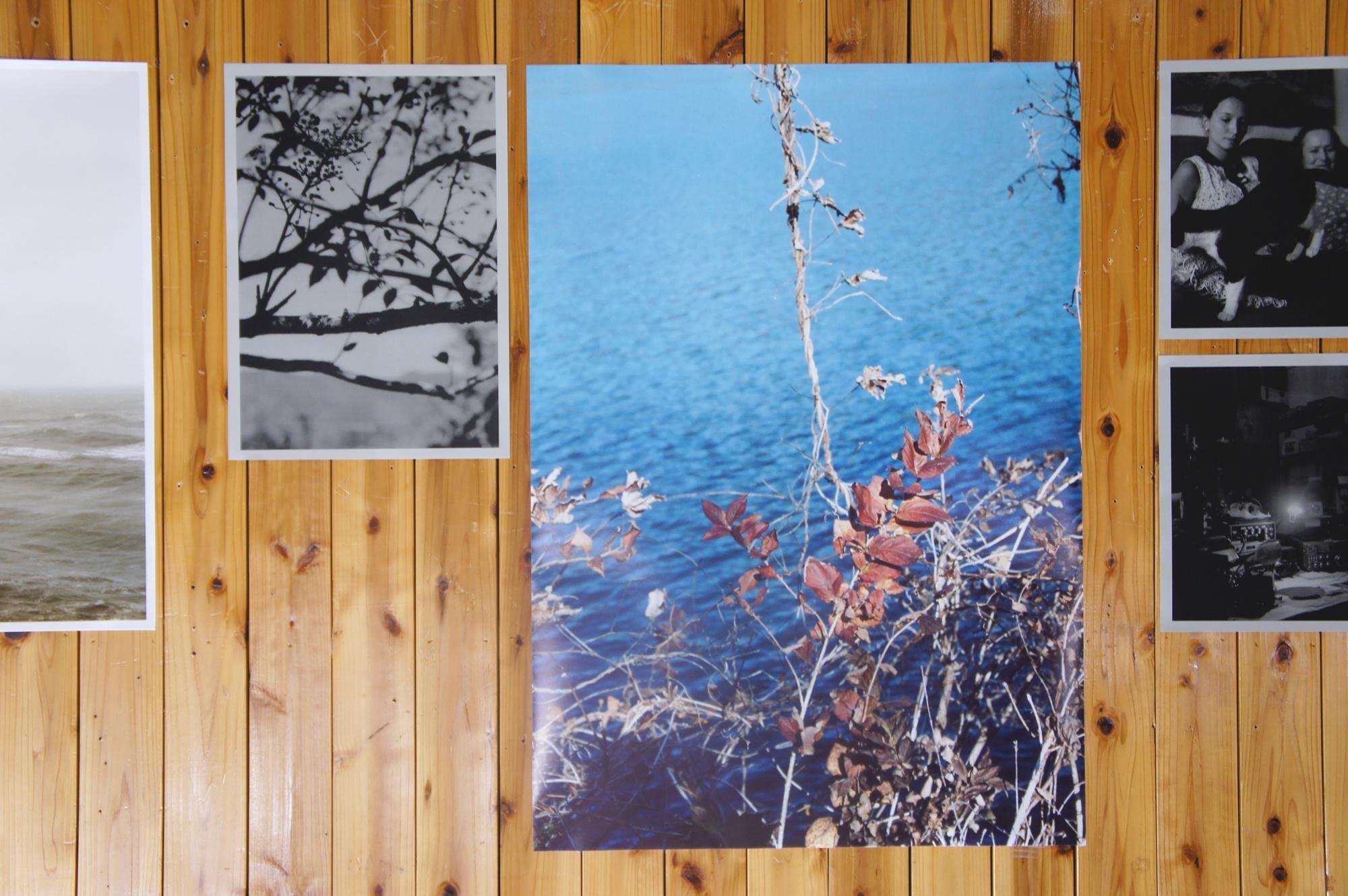 Les Chroniques Purple — エレン・フライスが紡ぐクロニクル