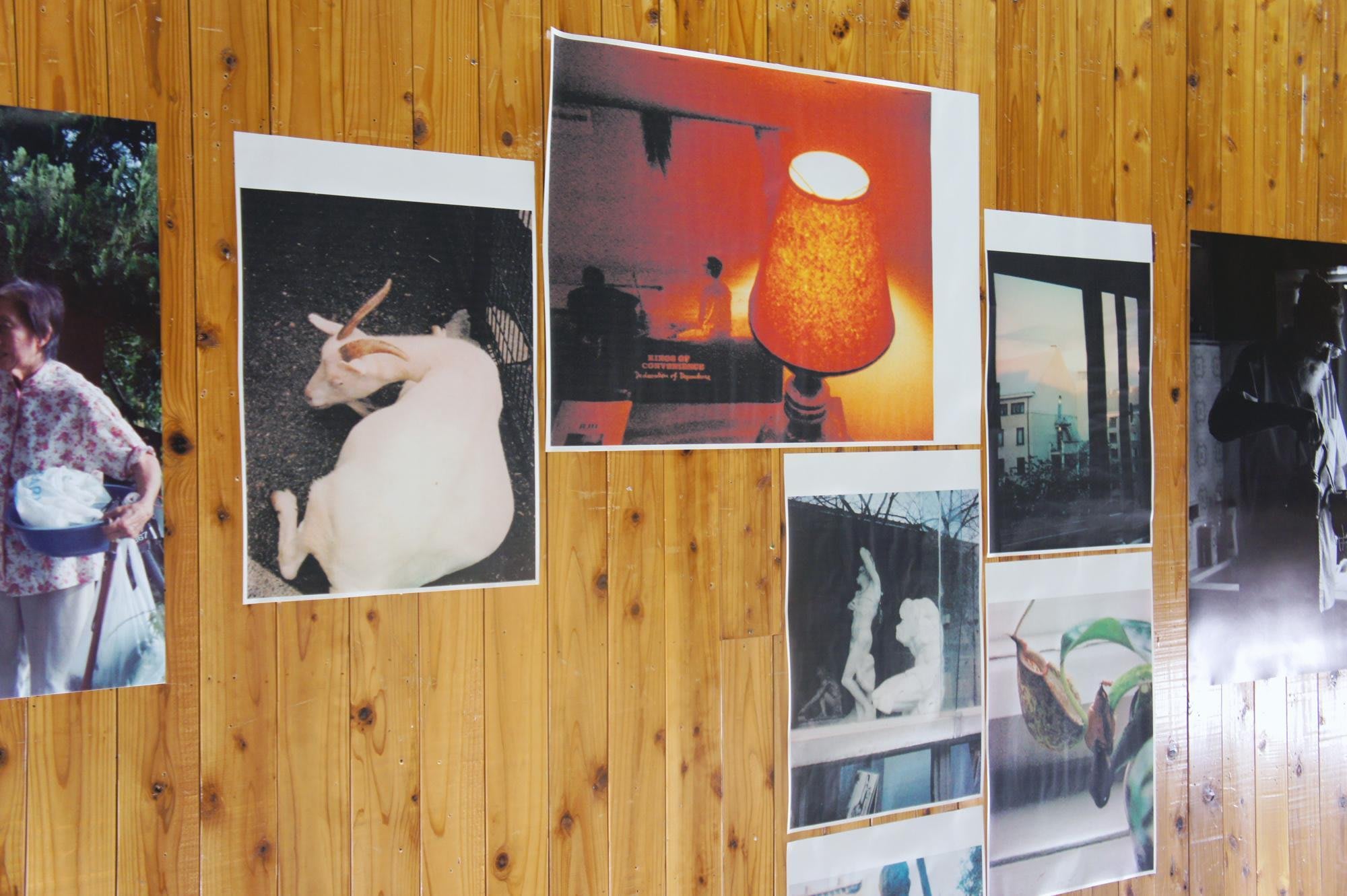 Les Chroniques Purple — エレン・フライスが紡ぐクロニクル