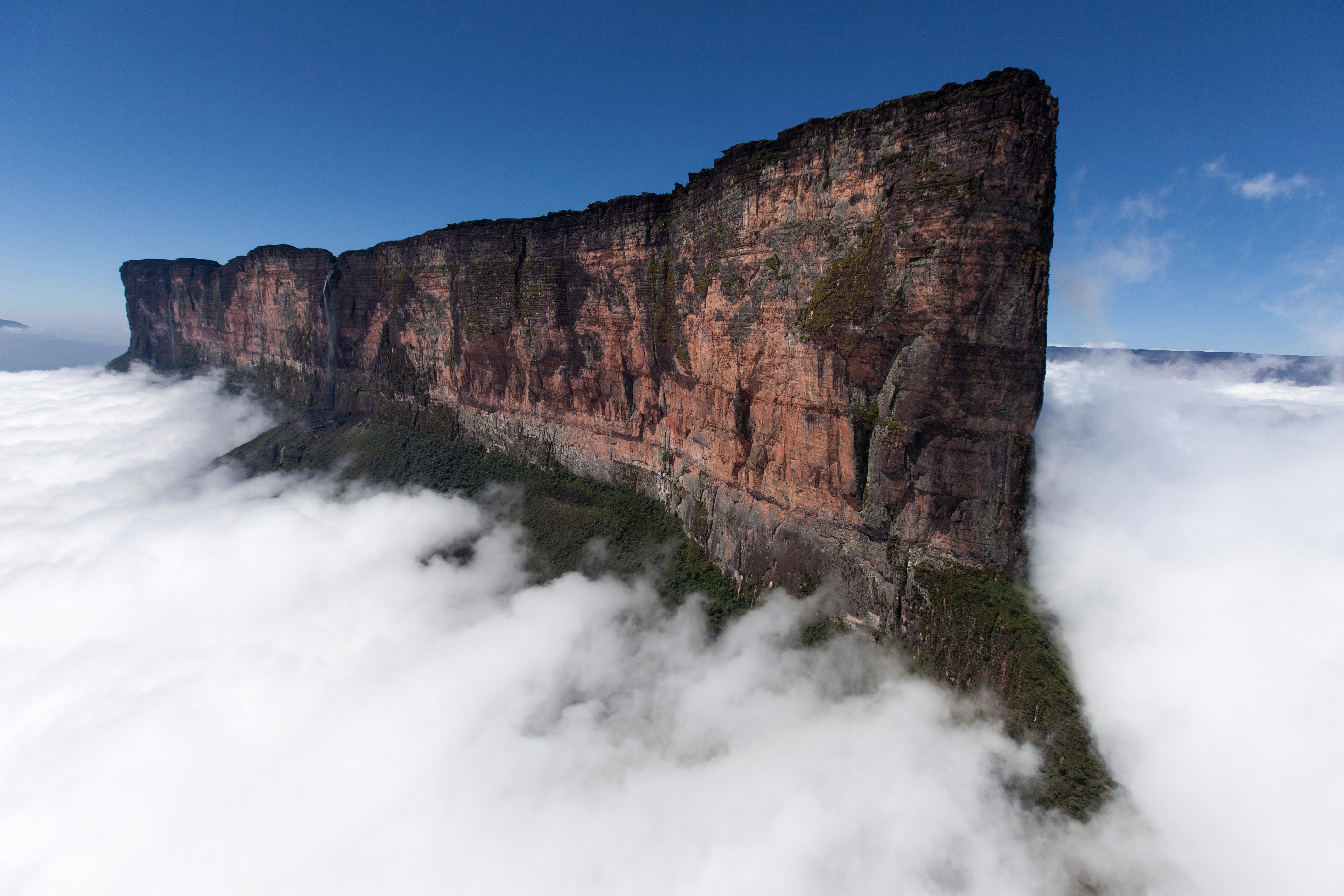 Few places on the planet rival australia. Венесуэла плато Рорайма. Столовые горы Рорайма Венесуэлы. Рорайма (гора, Гайана, Венесуэла, Бразилия. Гора Рорайма Бразилия.