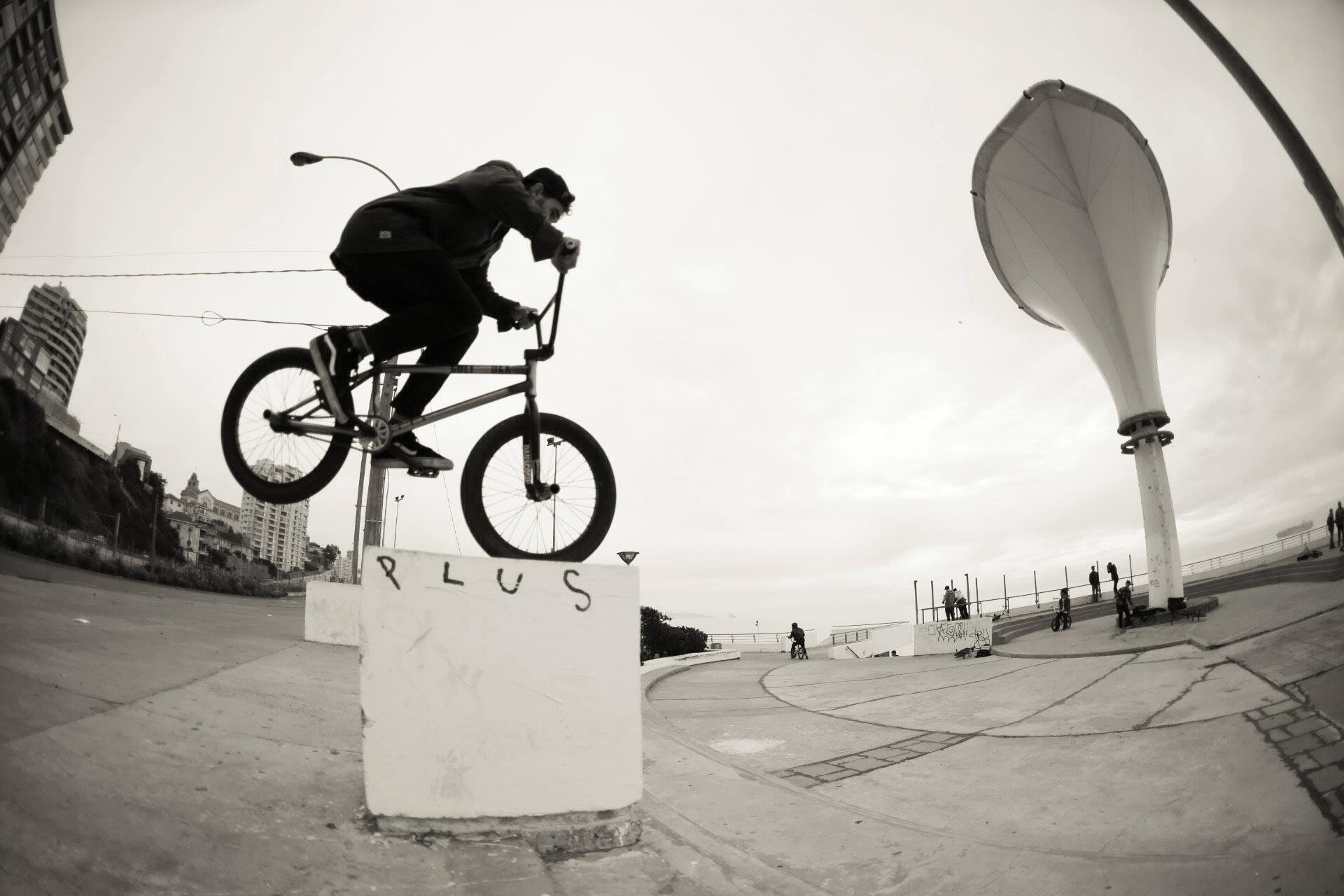 Vans bmx chile best sale