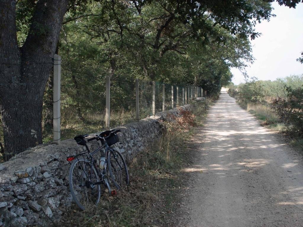 Le Piste Ciclabili Più Belle D'Italia