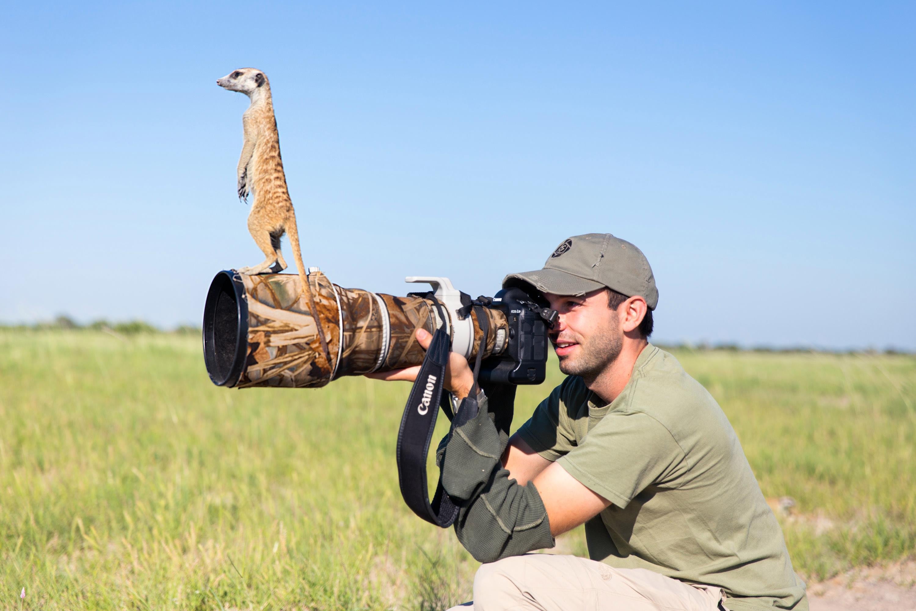 Wildlife photography: Check out these animal selfies