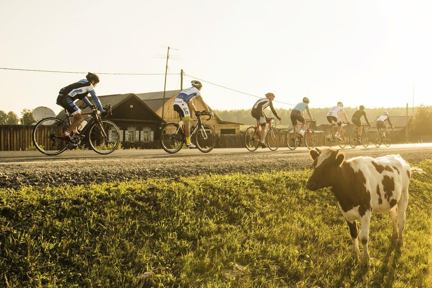 Гонка Red Bull Trans-Siberian Extreme завершилась