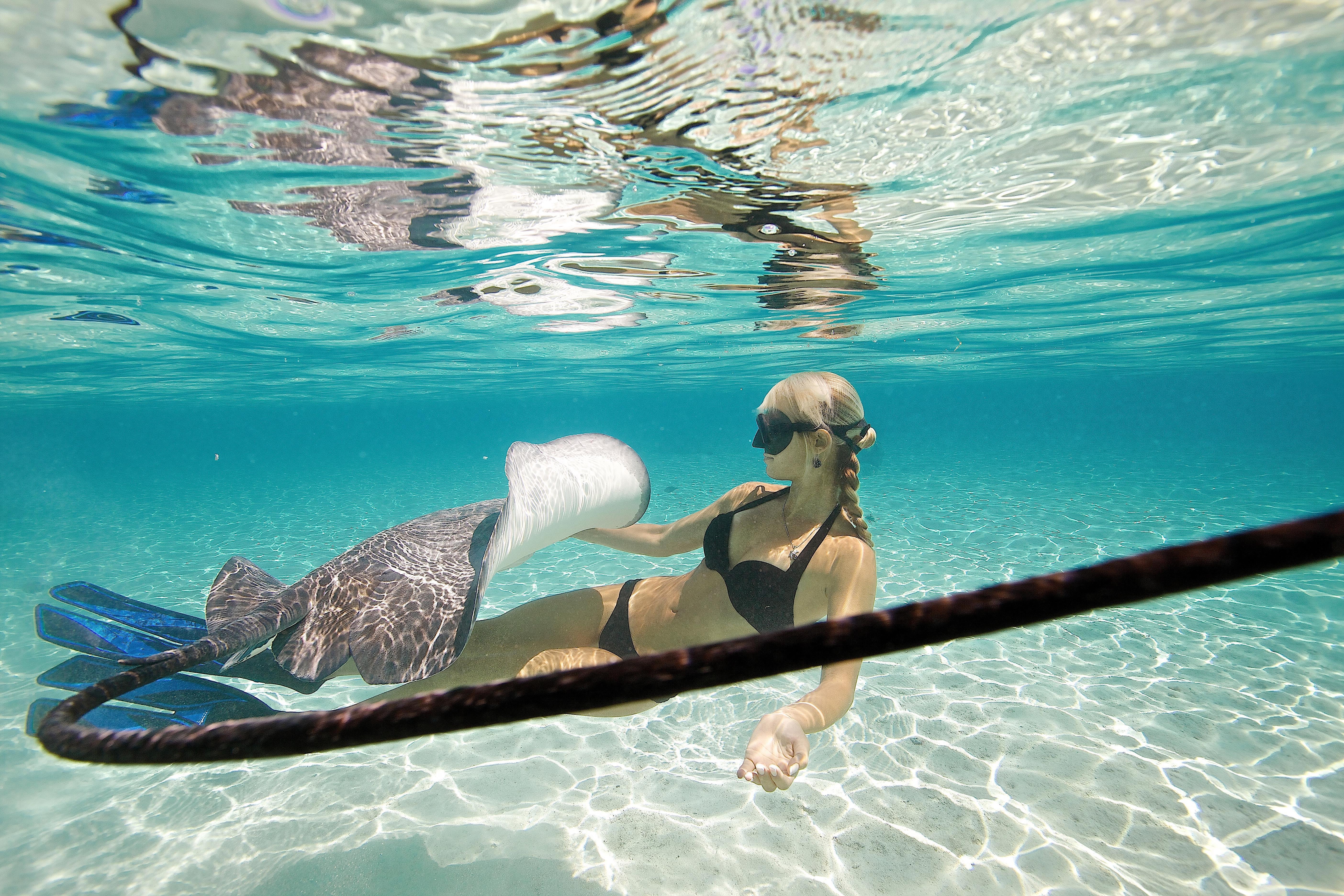 ホオジロザメと泳ぐ女性