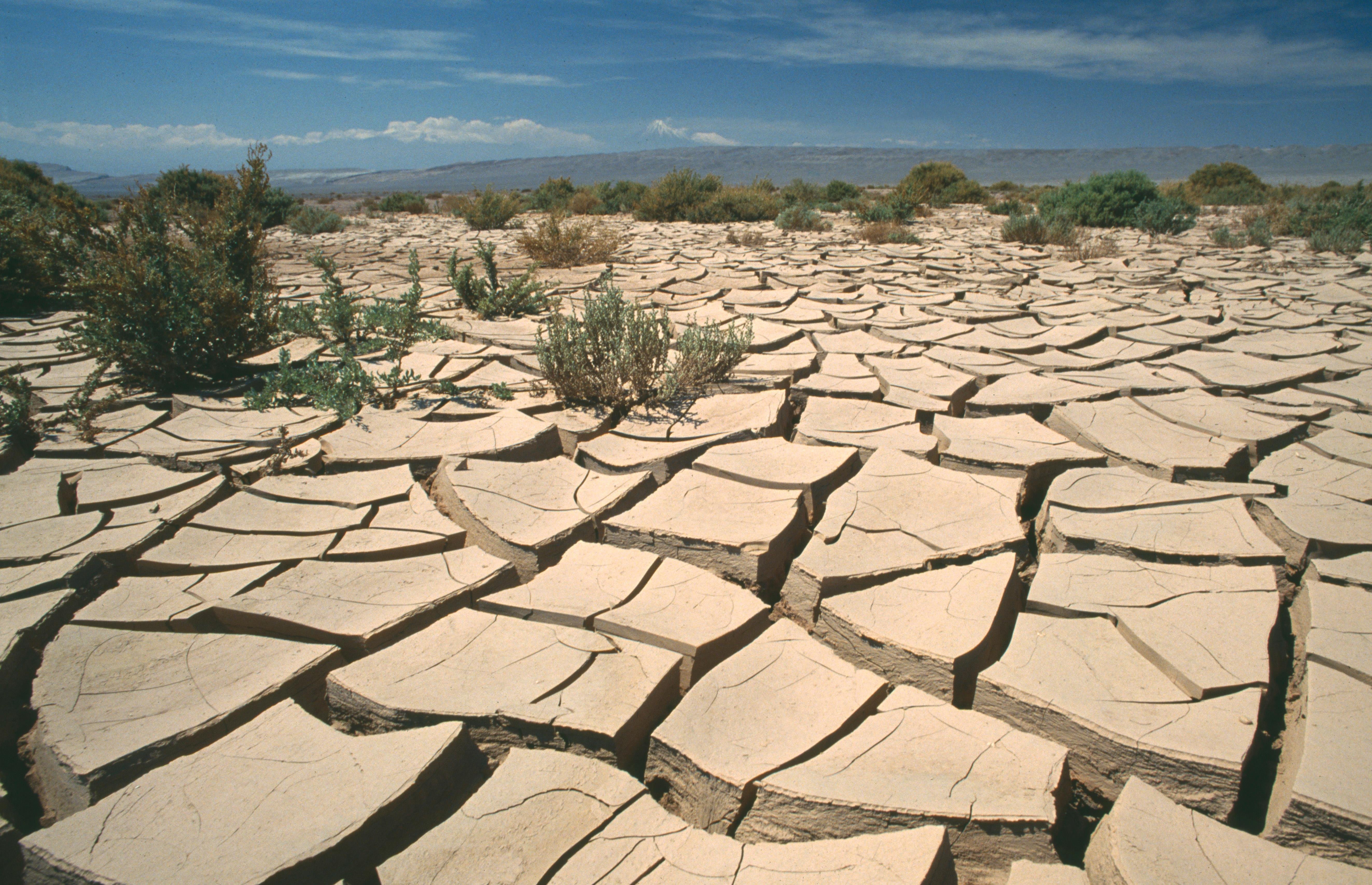 Driest places перевод. Природные катастрофы засуха. Пустыня Атакама самое засушливое место в мире. Осадки в пустыне Атакама. Аридизация.