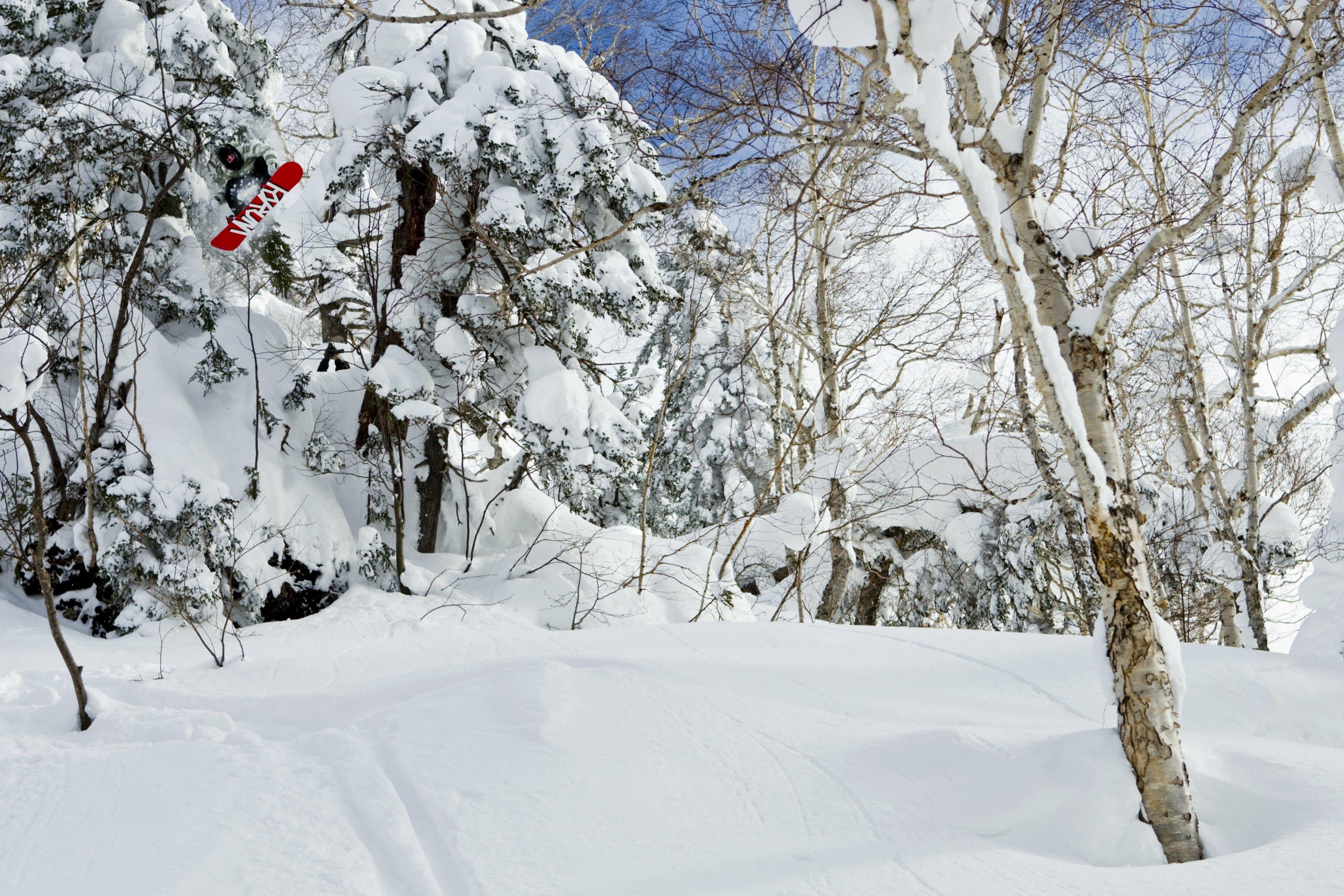 15 11 6 世界が認める日本の雪山を改めて知る Snow