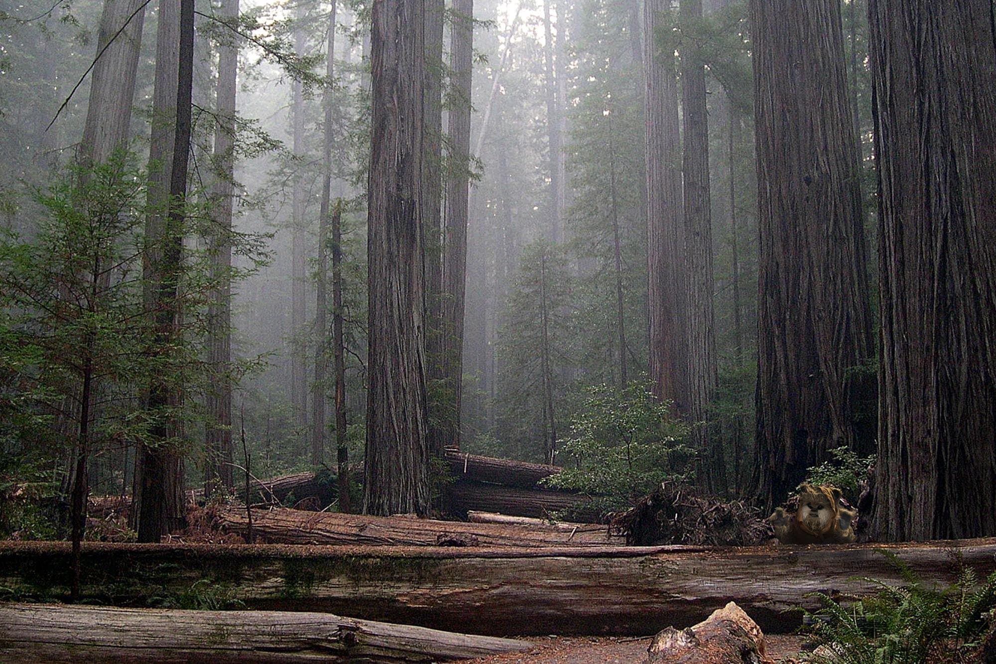 15 01 01 フォースに覚醒した人のためのトラベルガイド Adventure