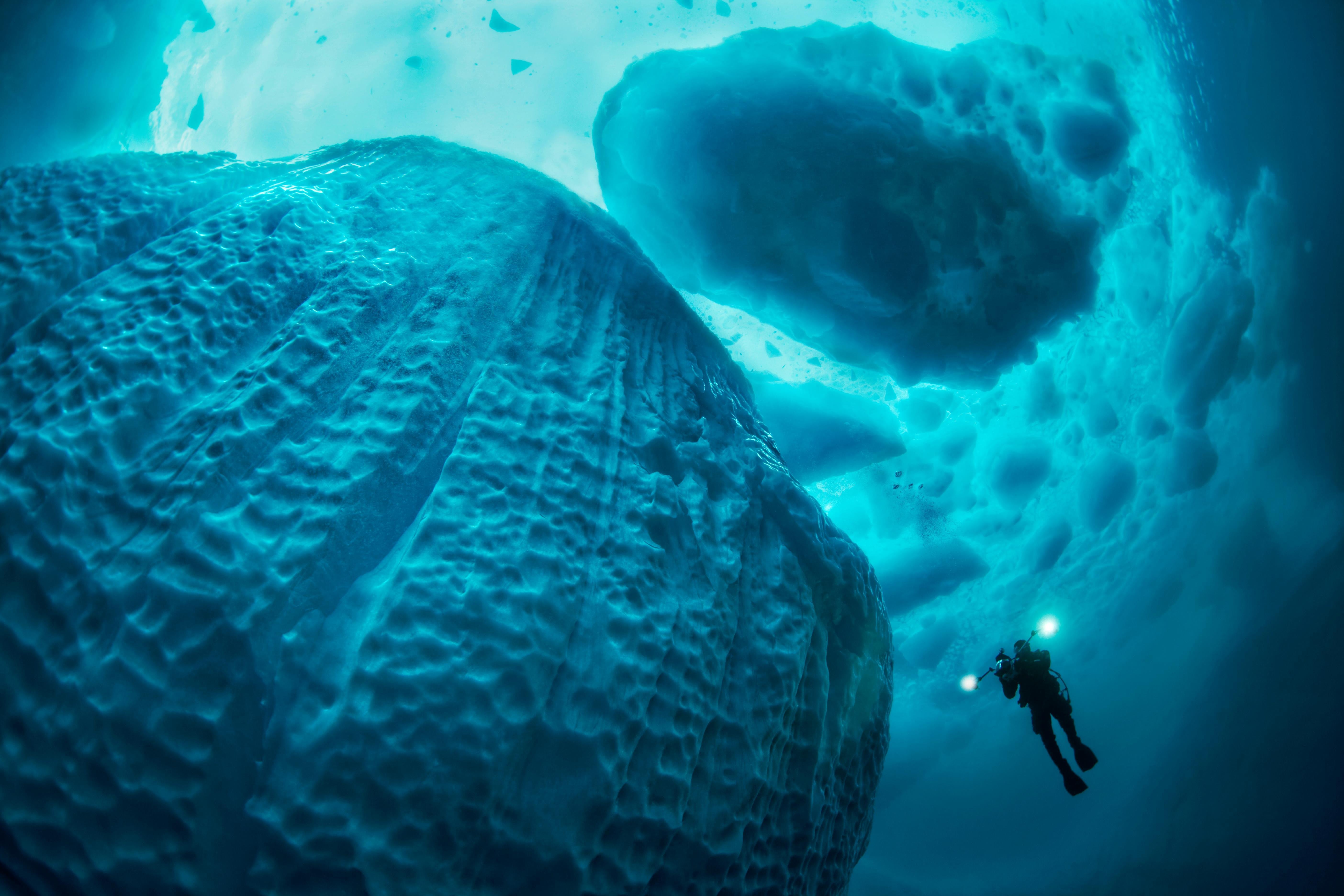 На дне картинки. Тобиас Фридрих айсберги. Горы под водой. Дно Ледовитого океана. Подводные съемки океана.