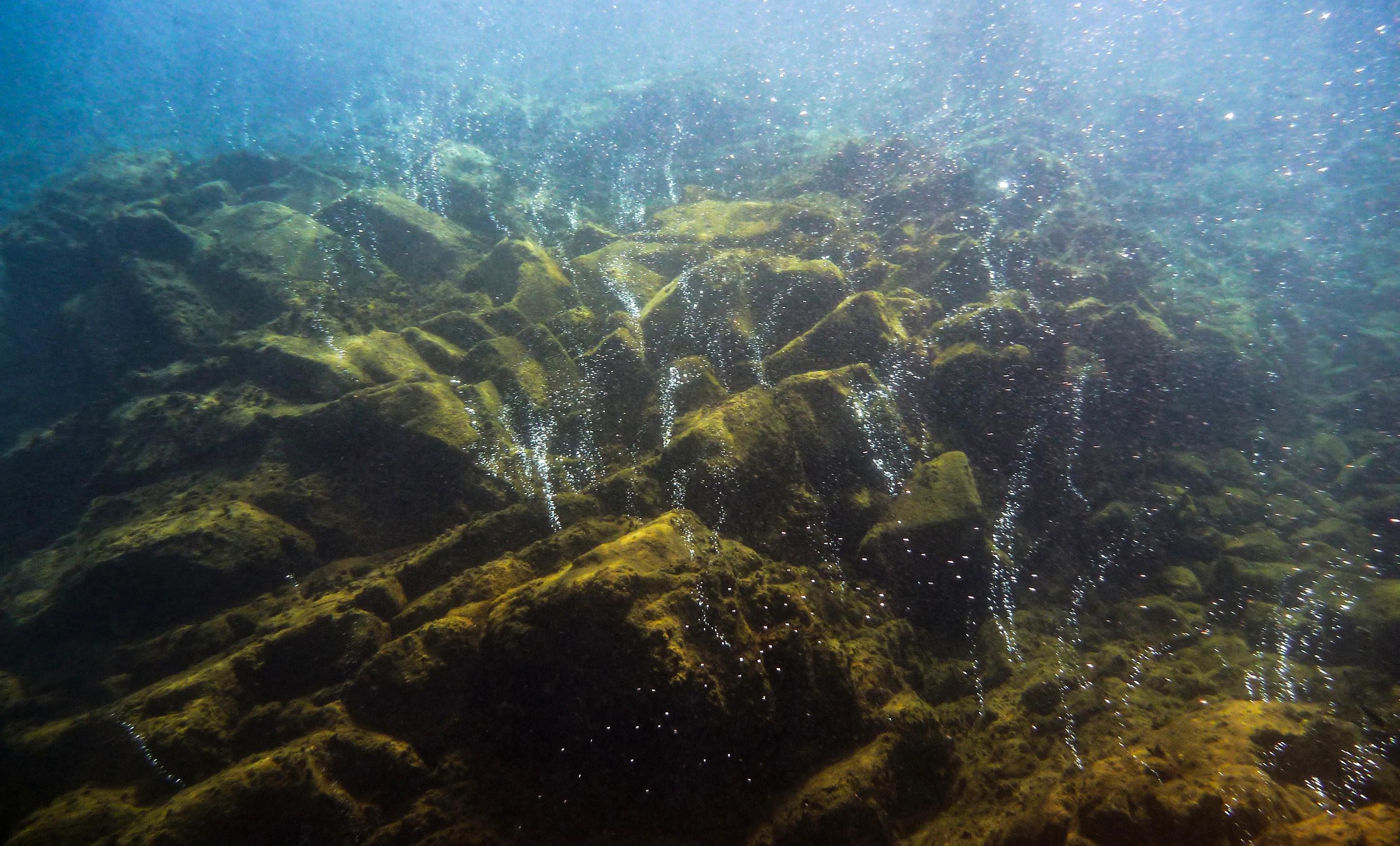 Fullyaquadic Community: Share Your Underwater Experiences