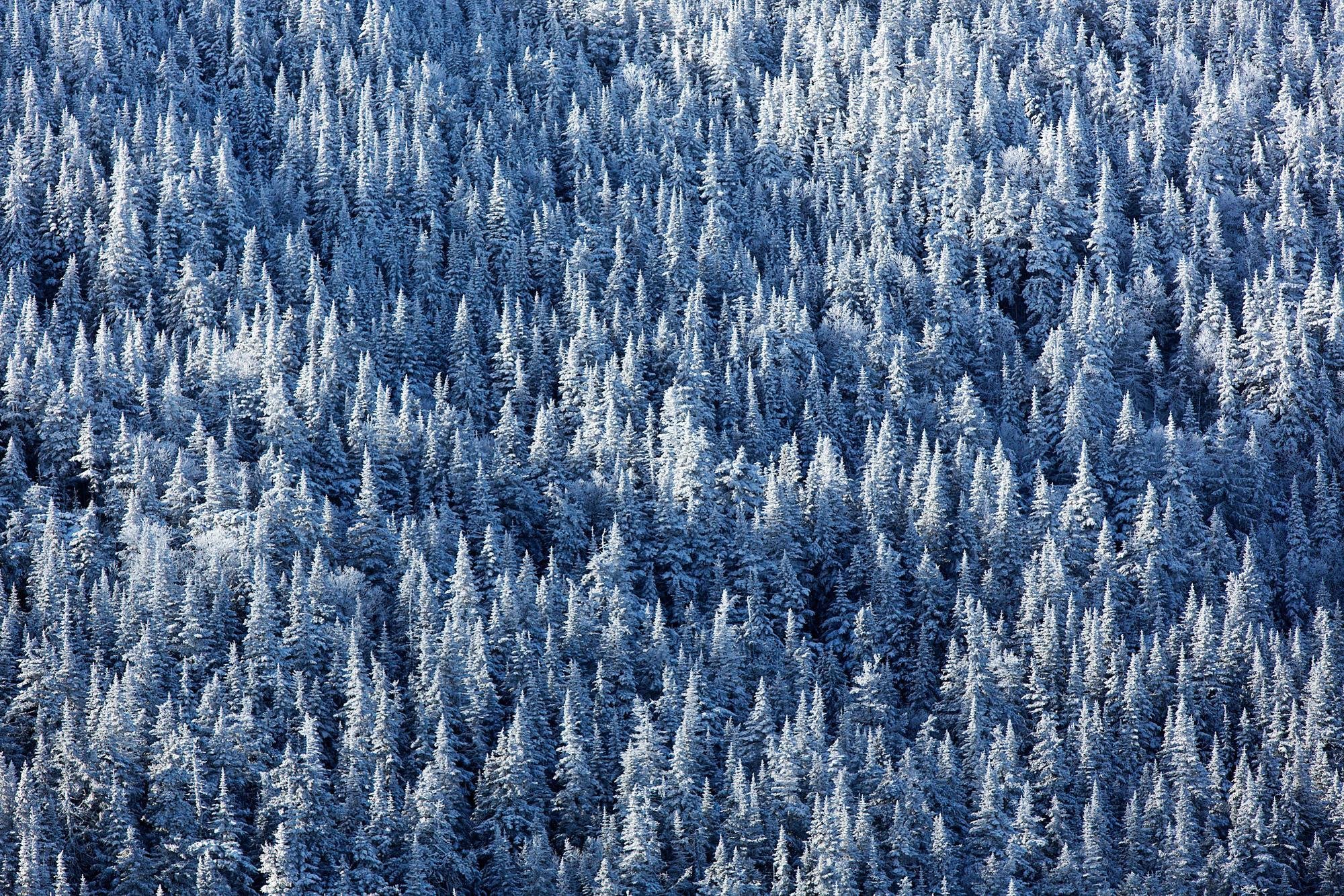 16 3 18 冬のワシントン山をファットバイクで初登頂した男 Bike