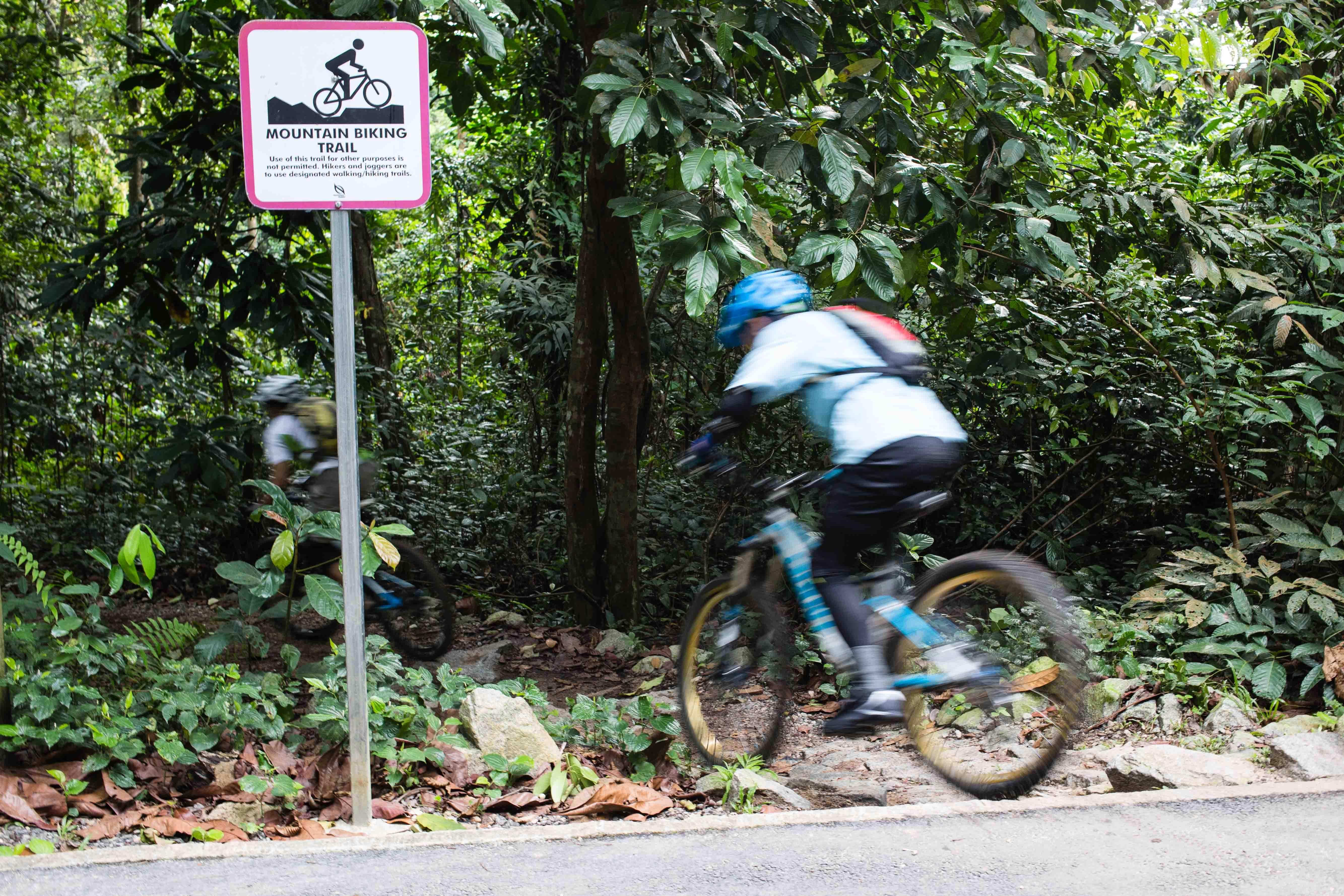 bukit timah mountain bike trail