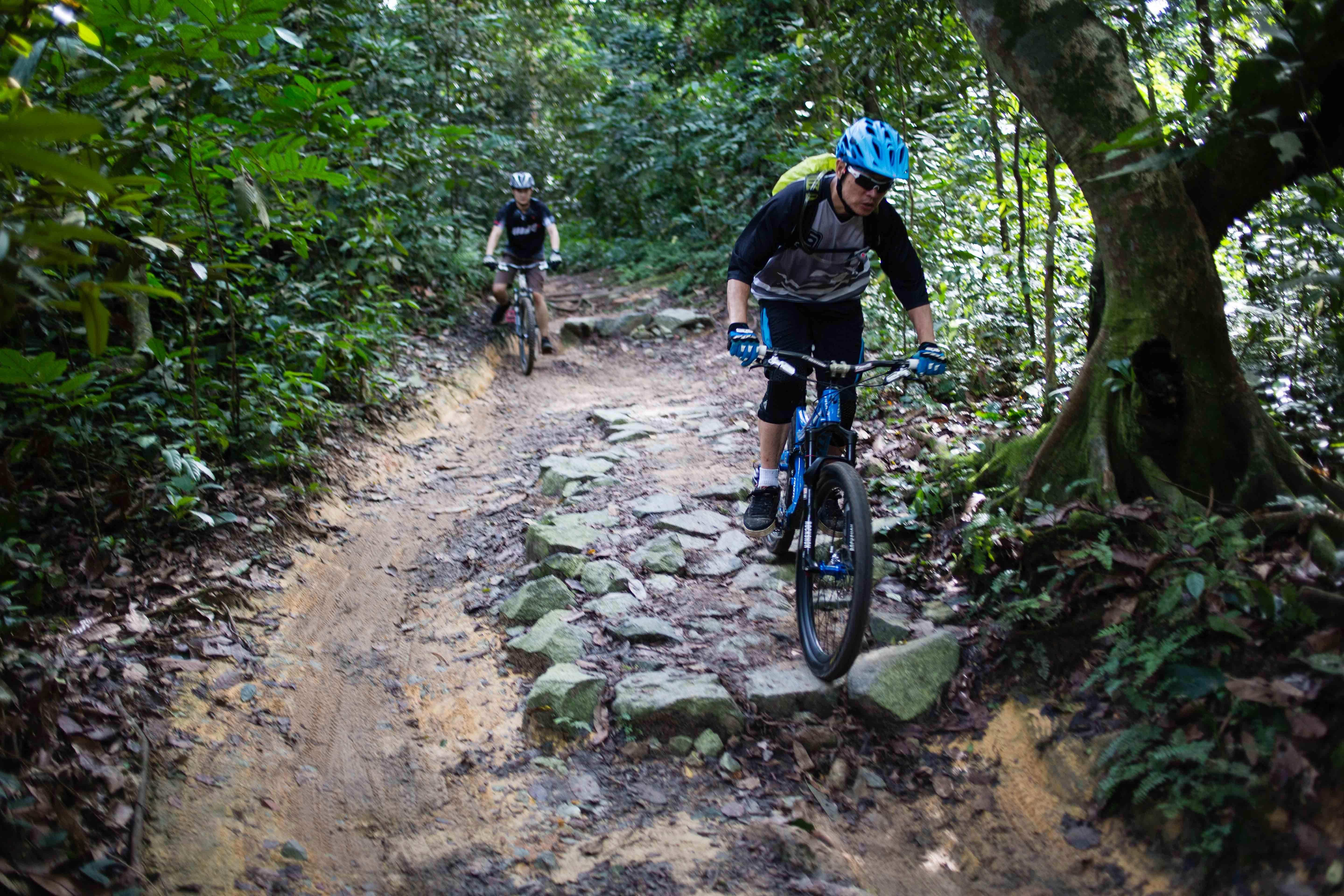 Bukit timah mountain bike 2025 trail