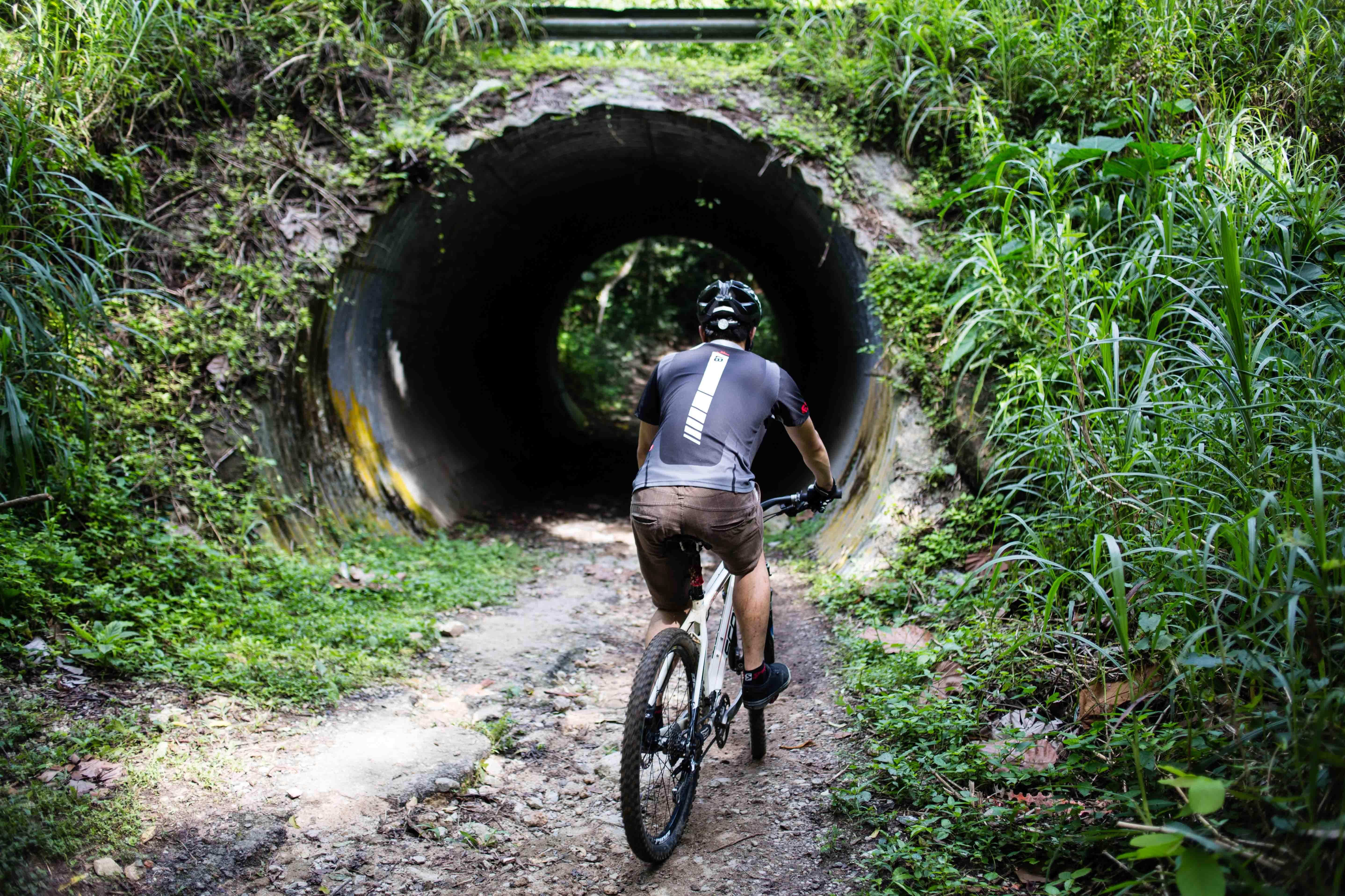 Bukit Timah Nature Reserve Mountain bike trail guide