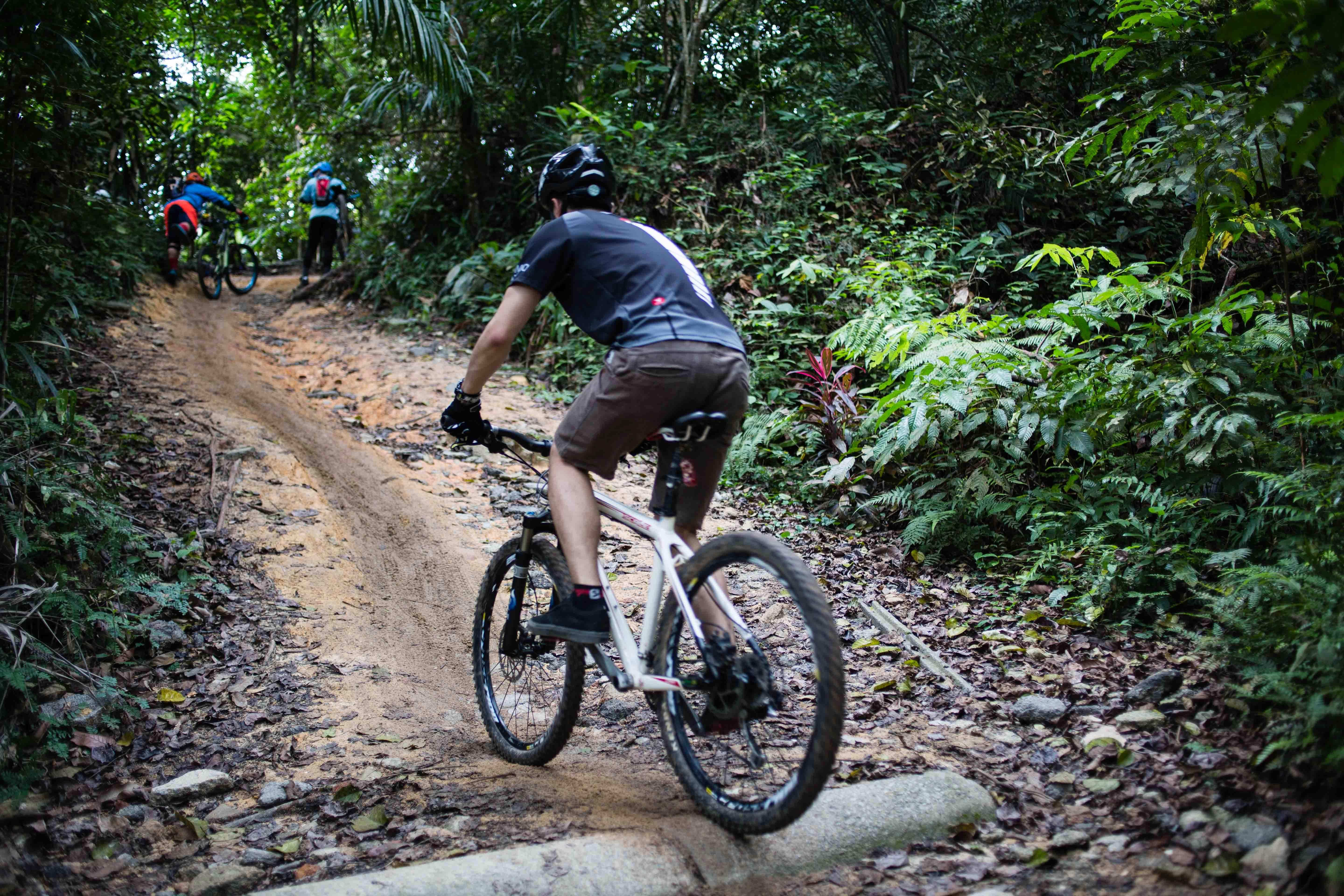 bukit timah mtb trail