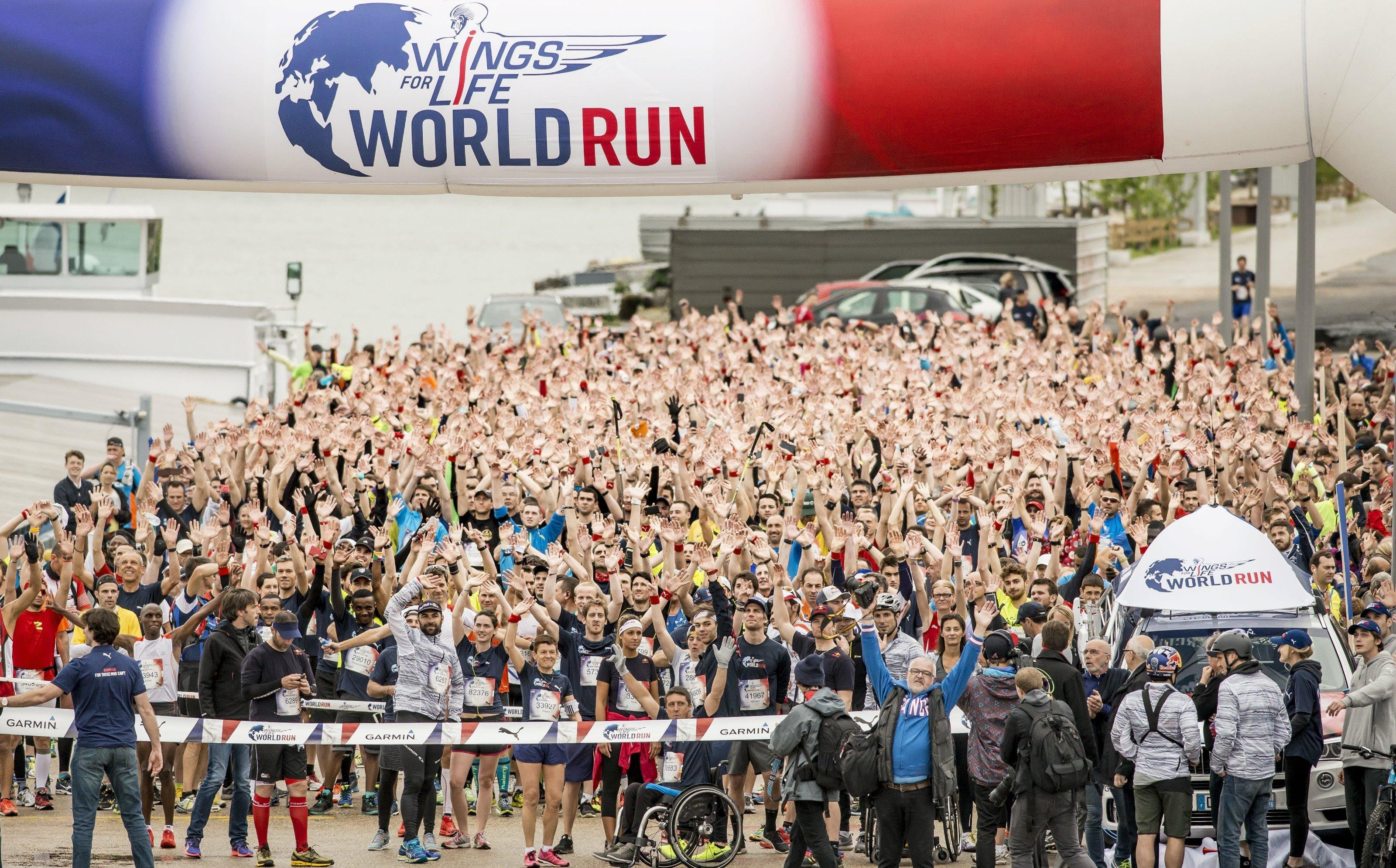 World run. Red bull Wings for Life World Run. Red bull Wings. Ред Булл Wings for Life. World Run логотип.