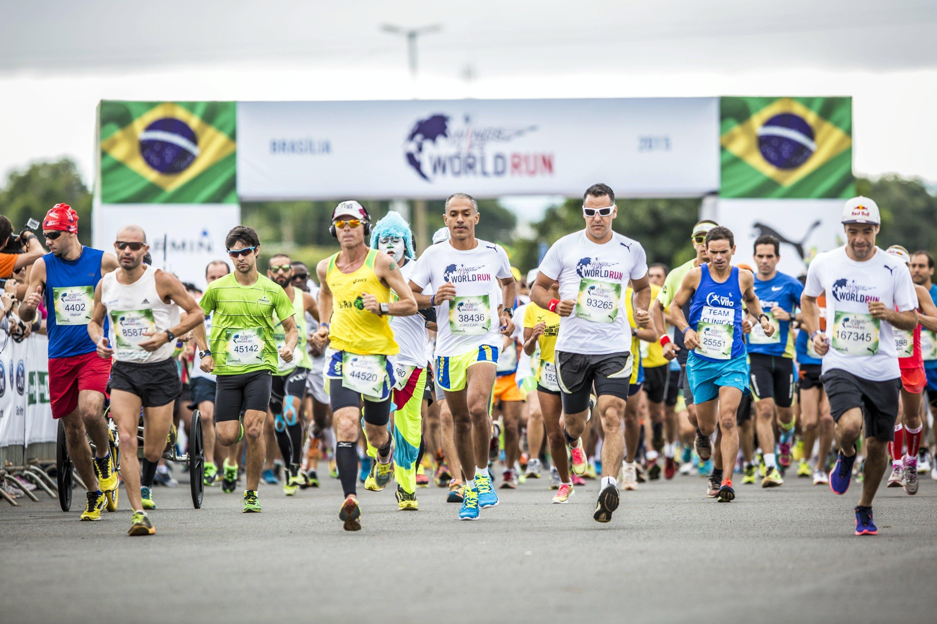 World run. Simple Run Санкт-Петербург. Wings for Life World Run Kakheti location. World Run отзывы.