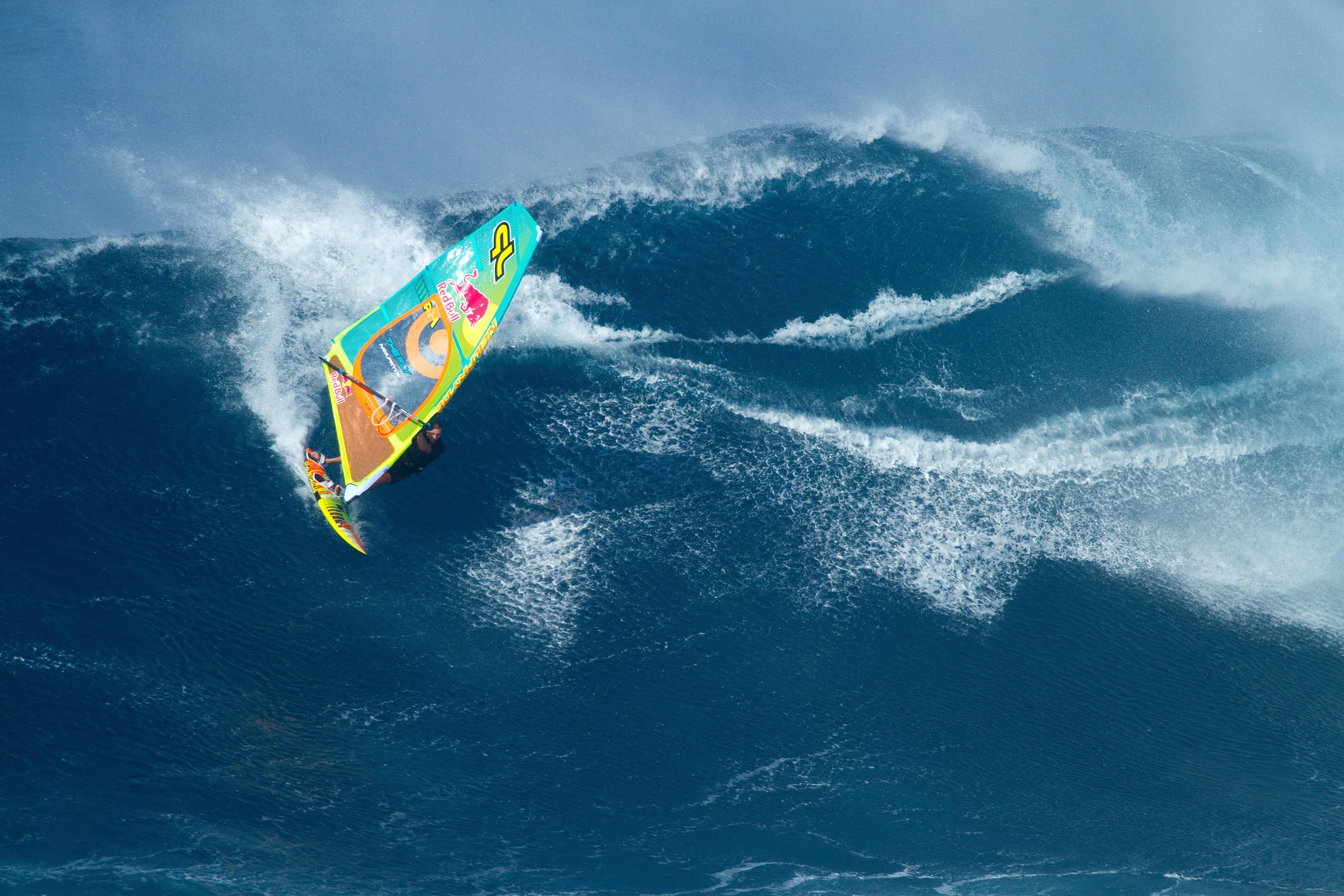 2016.7.8 | ウィンドサーファーがジョーズにアタック！ | Adventure