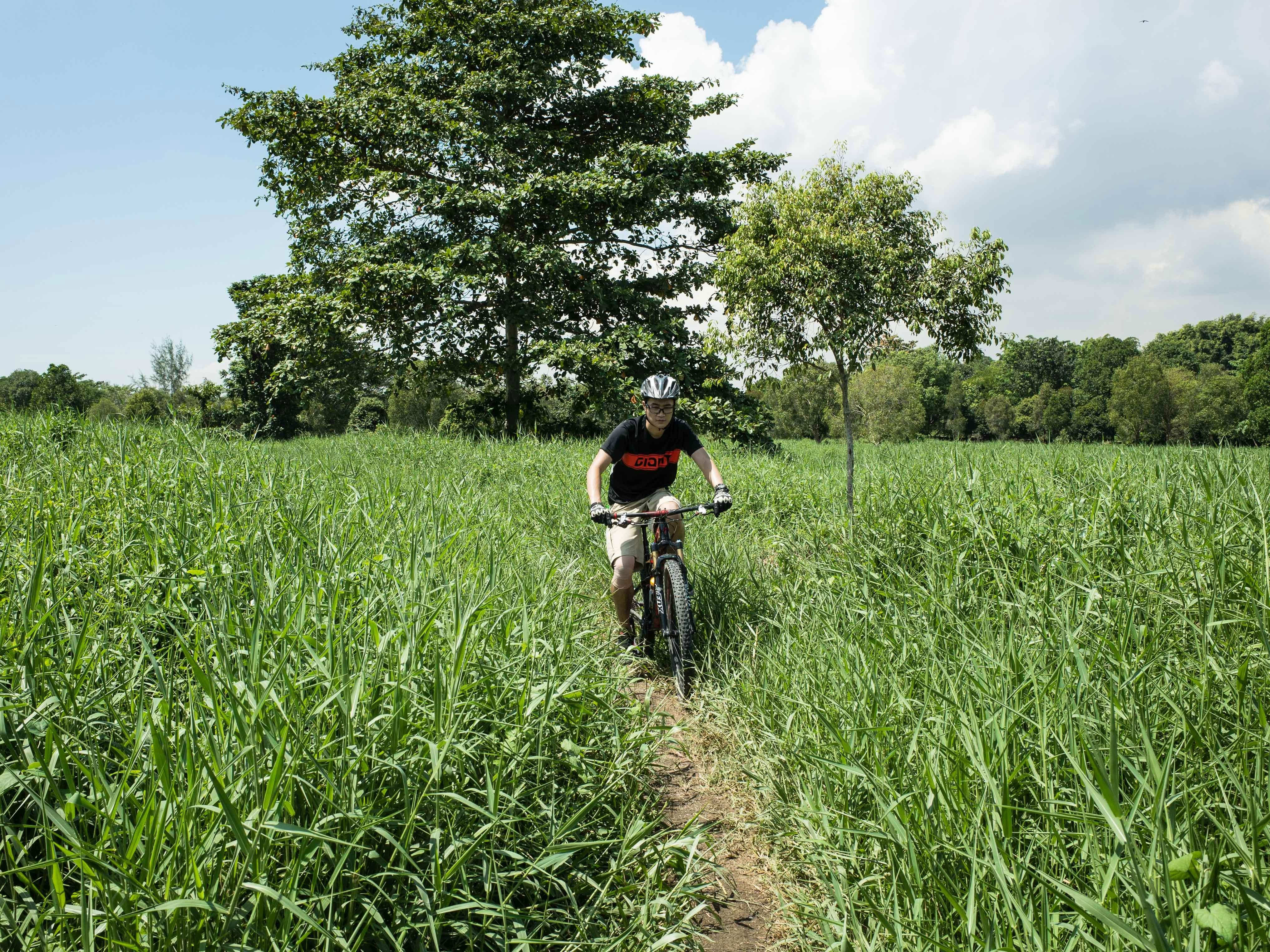 On The Ride at Ketam Mountain Bike Park