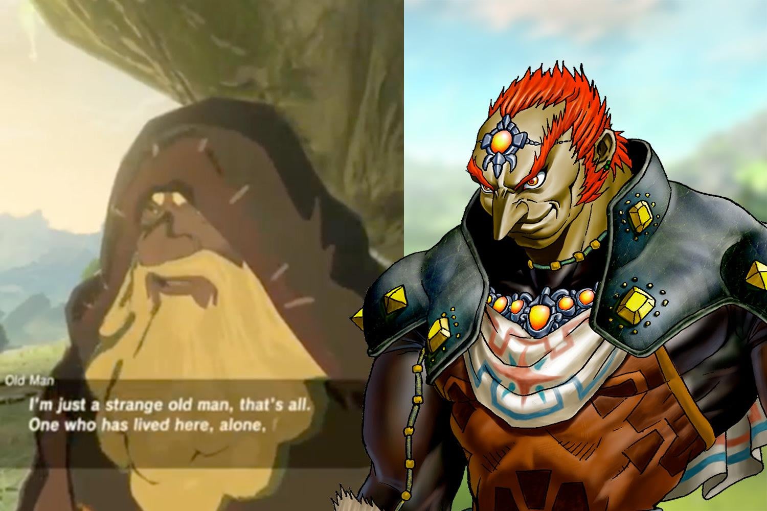 Ganondorf x reader