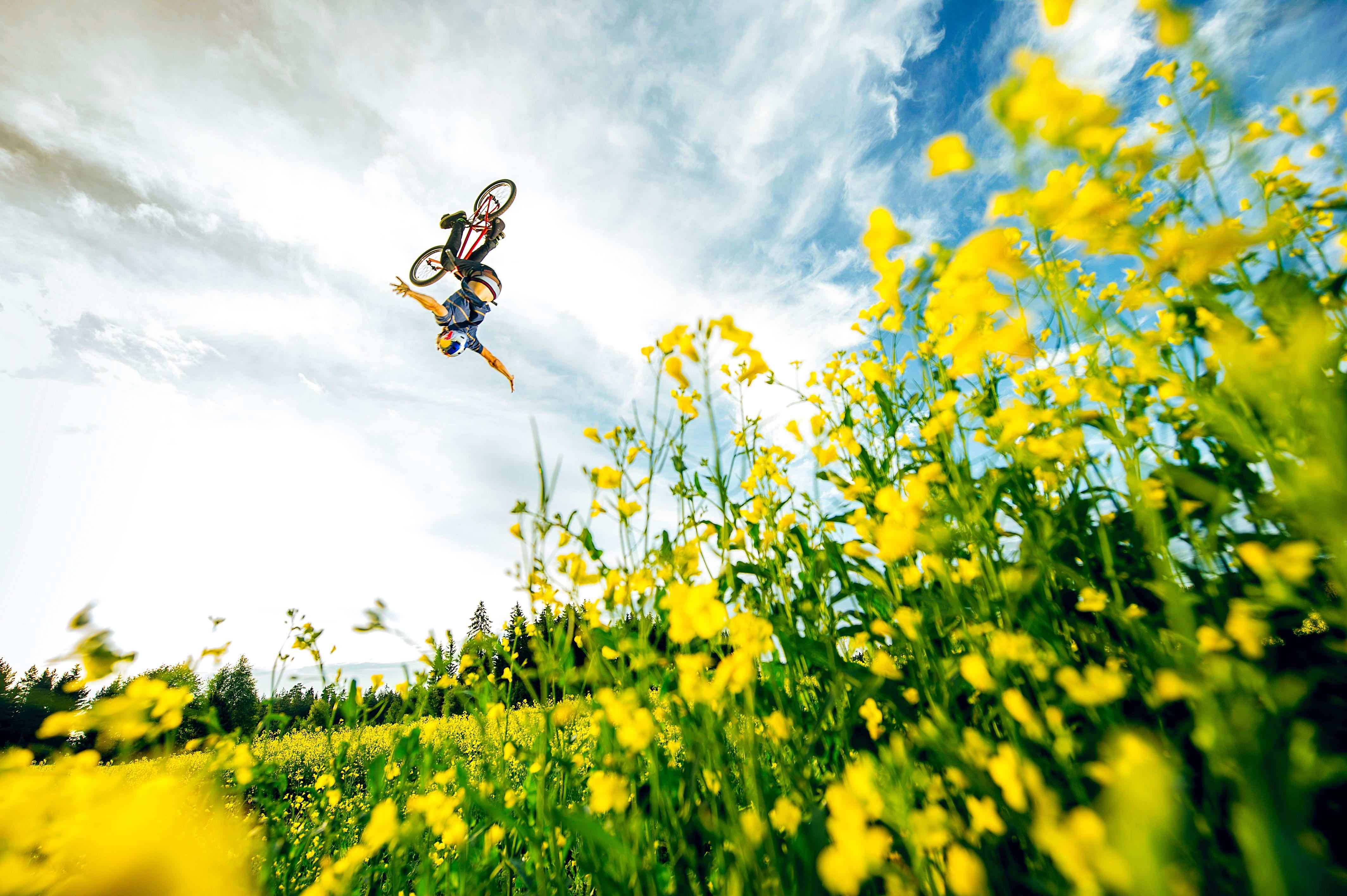 16 8 22 花畑を駆け抜けよう 天国気分のバイクエディット Bike