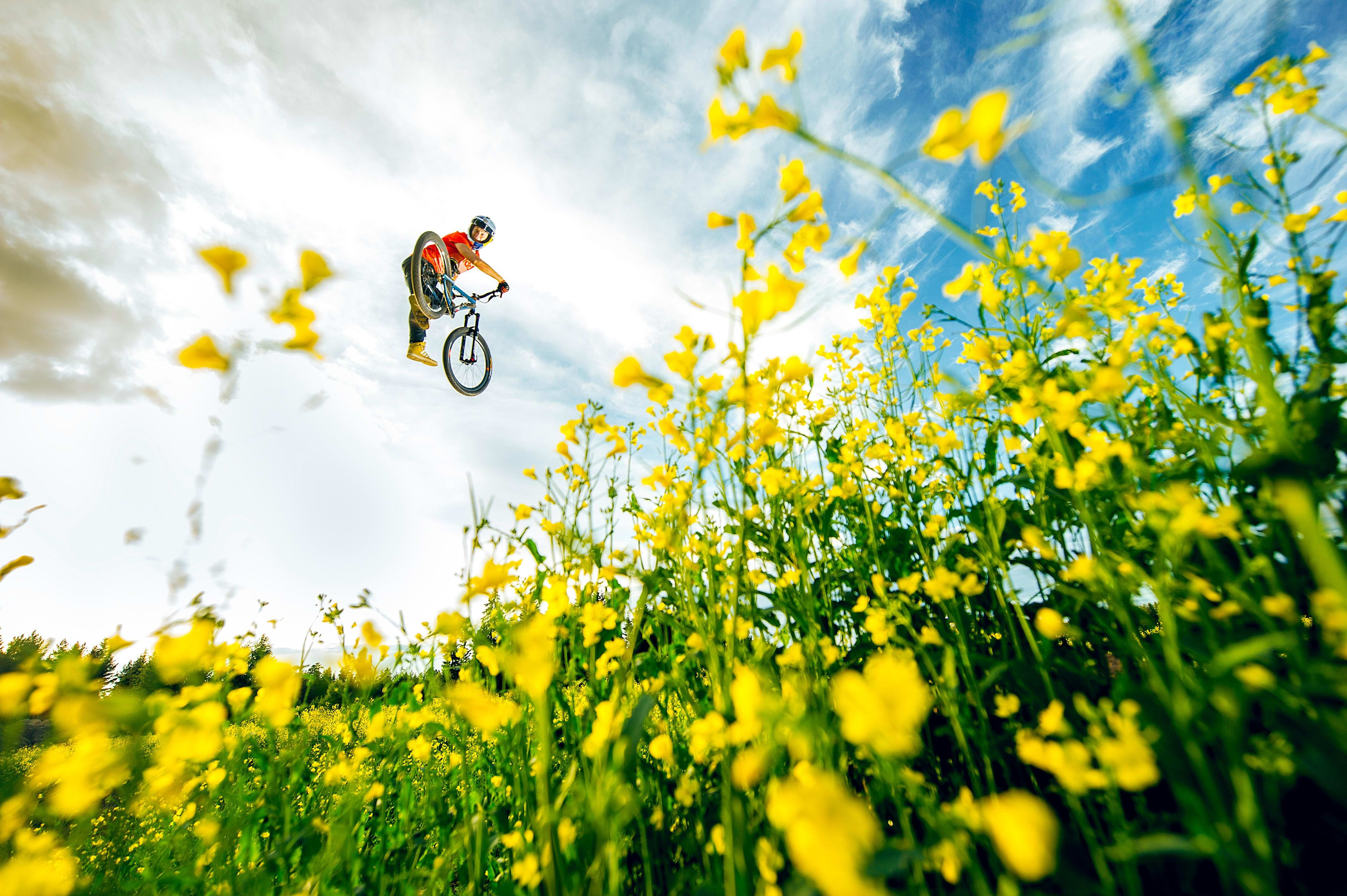 16 8 22 花畑を駆け抜けよう 天国気分のバイクエディット Bike
