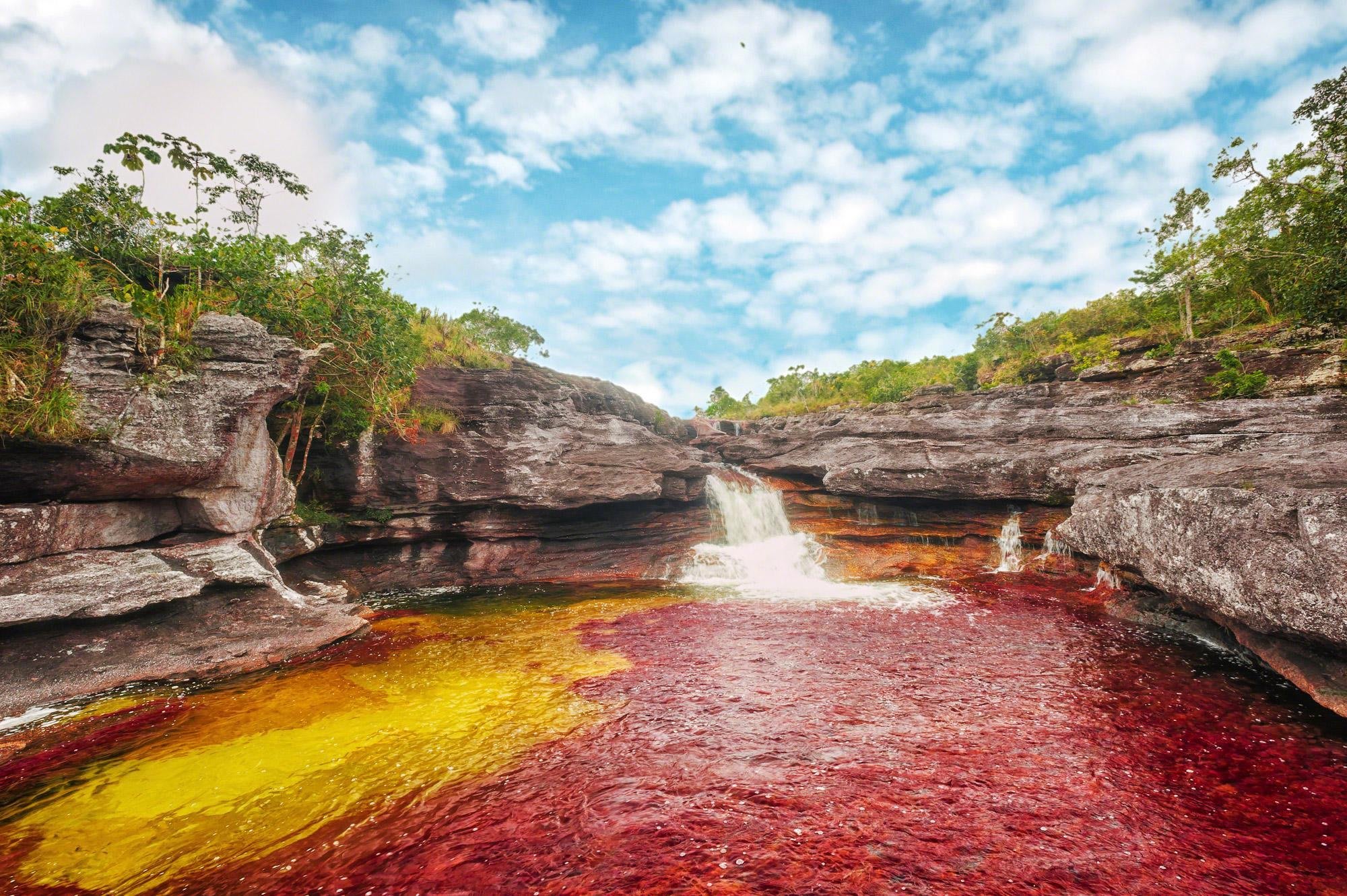 Caño Cristales - El río de los cinco colores 