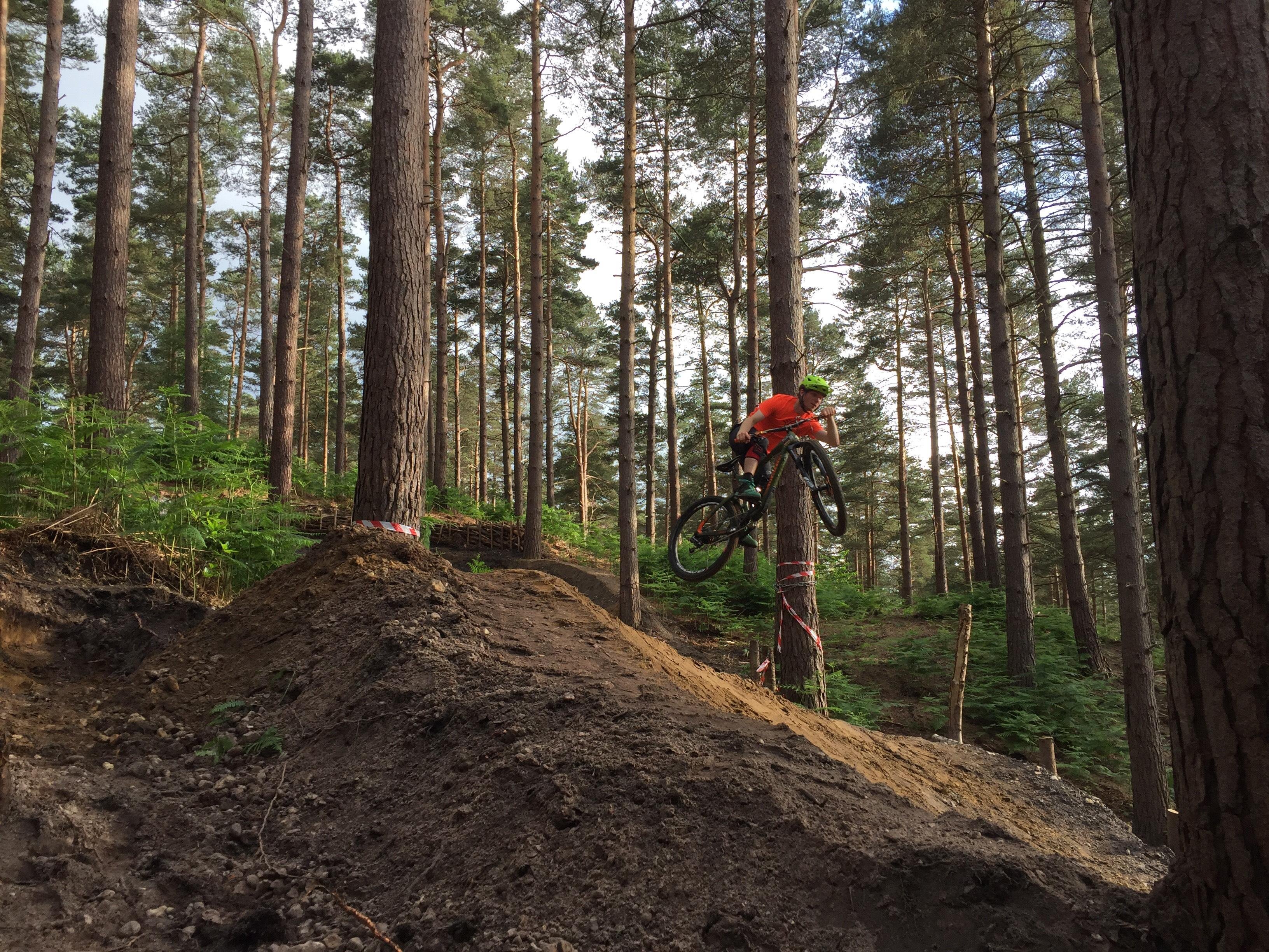 Swinley forest store red trail