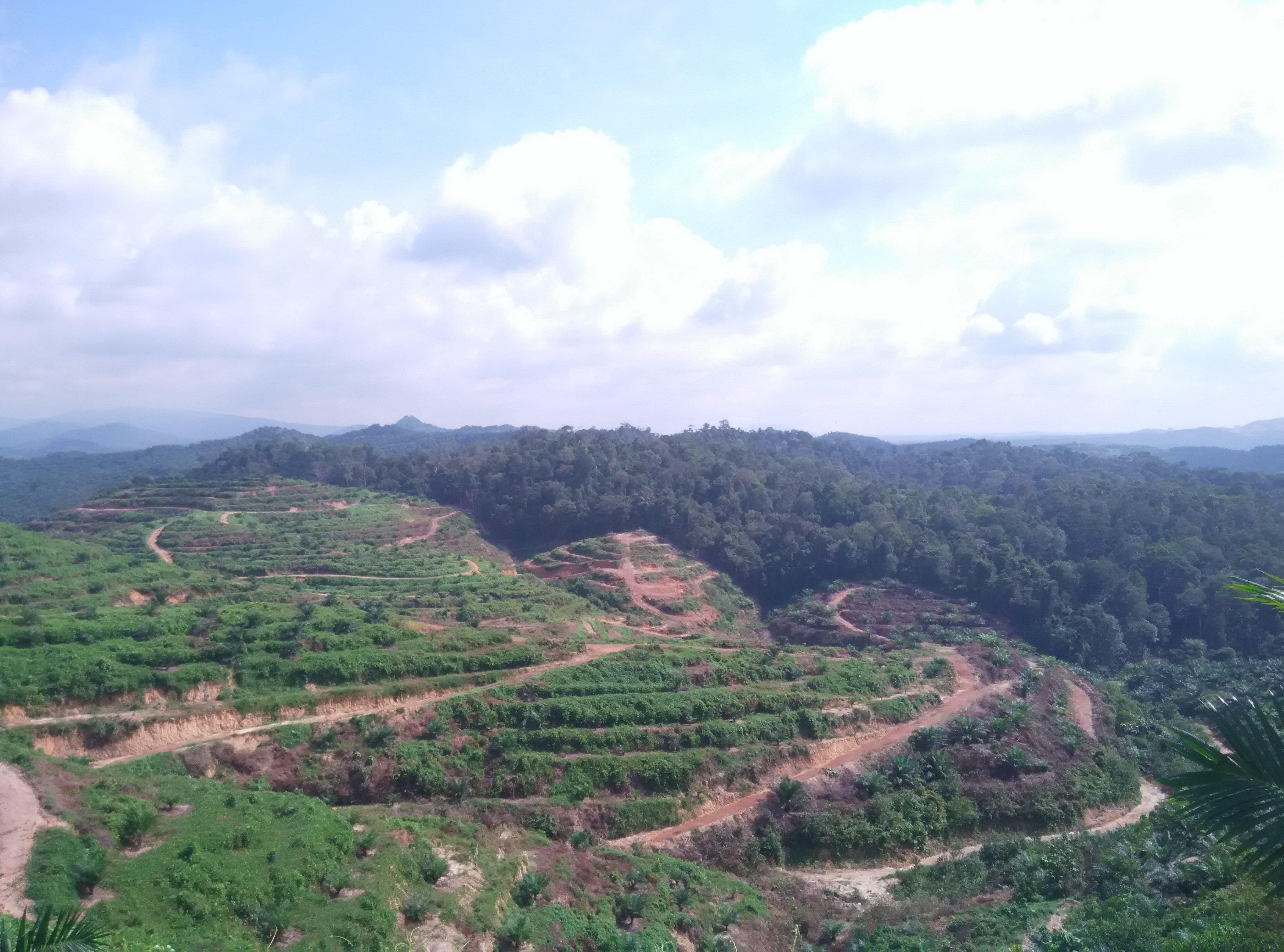 Up North The Pasak Trails