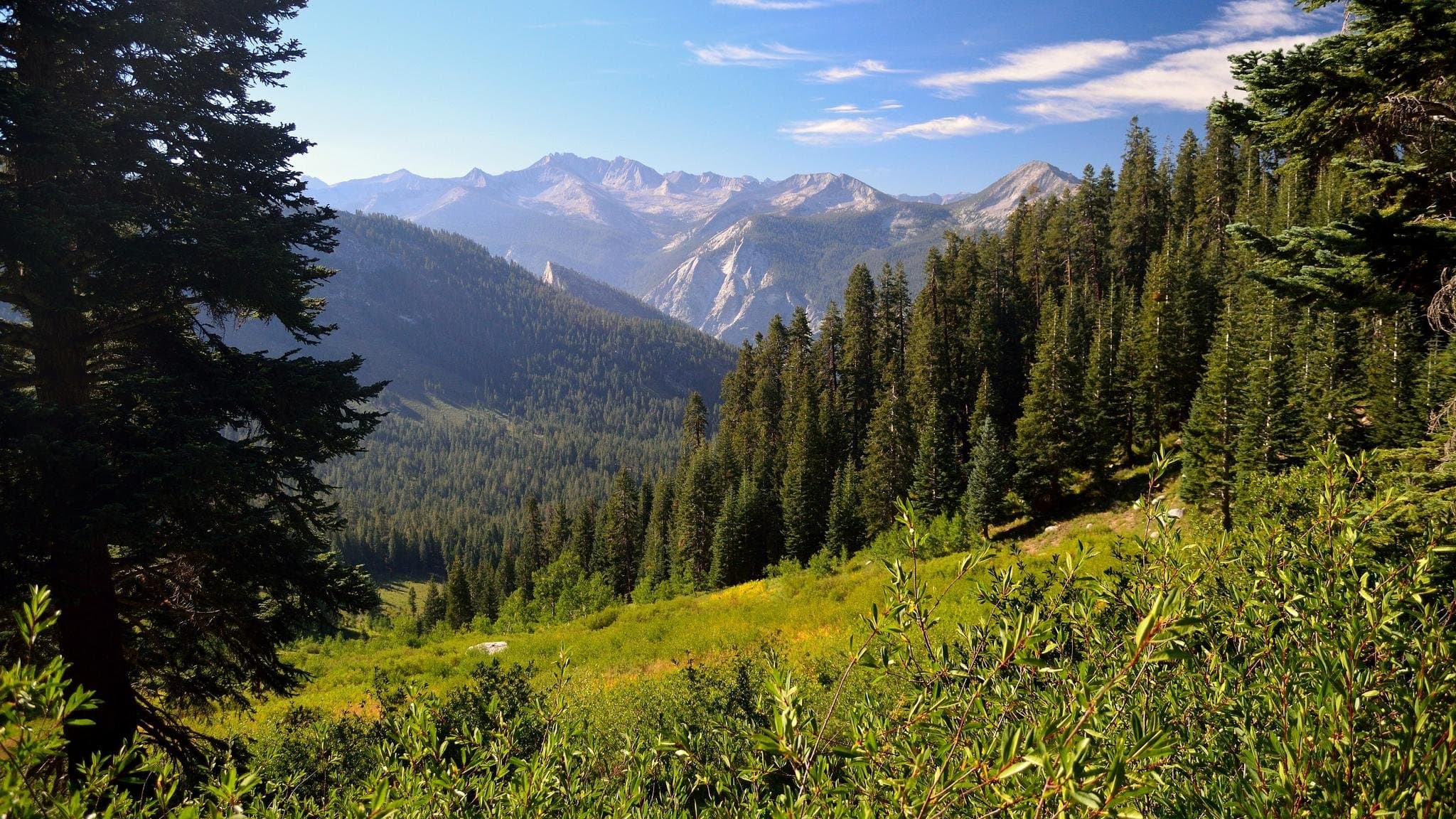 Copper Creek Castle. Sequoia.