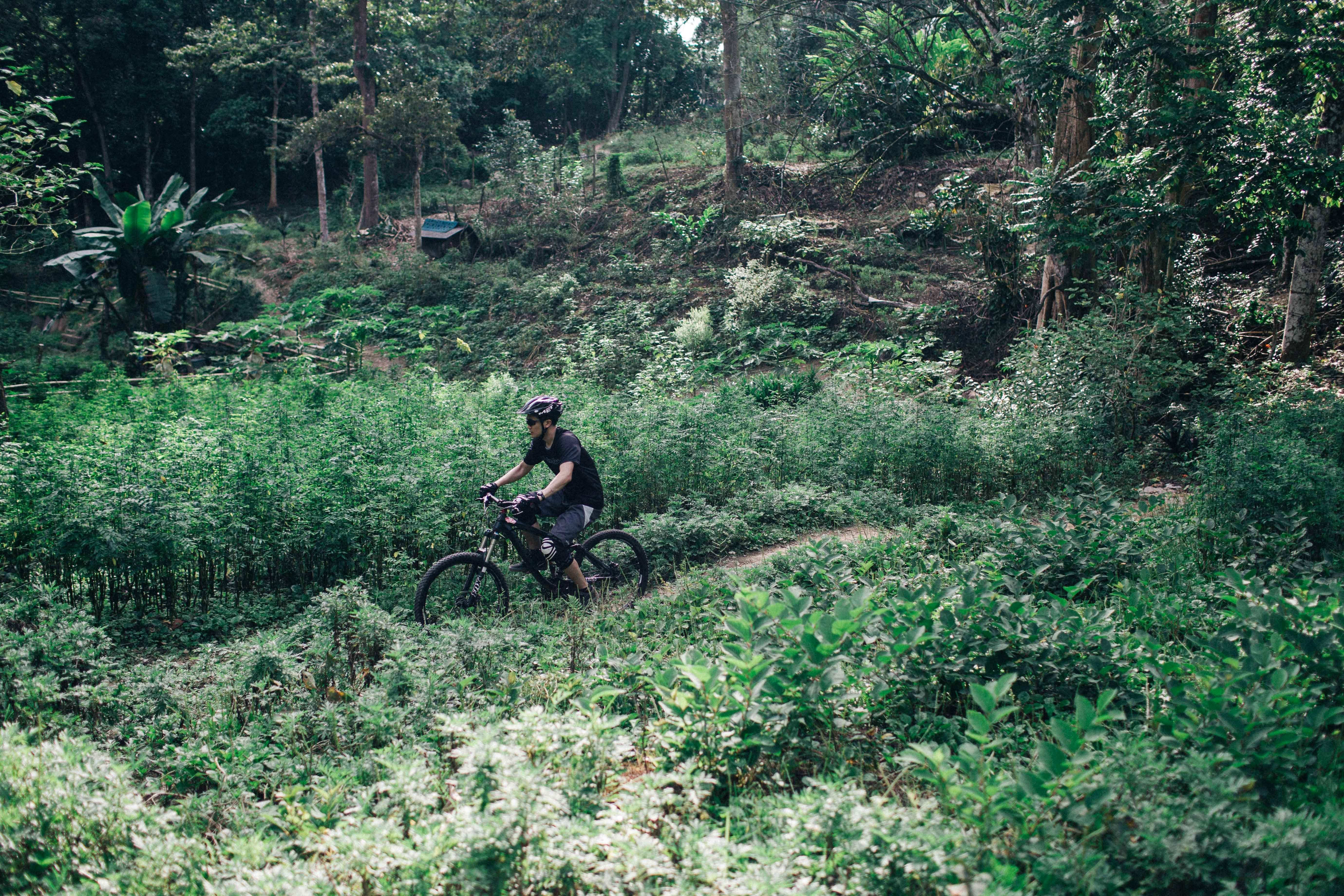 downhill mountain biking near me