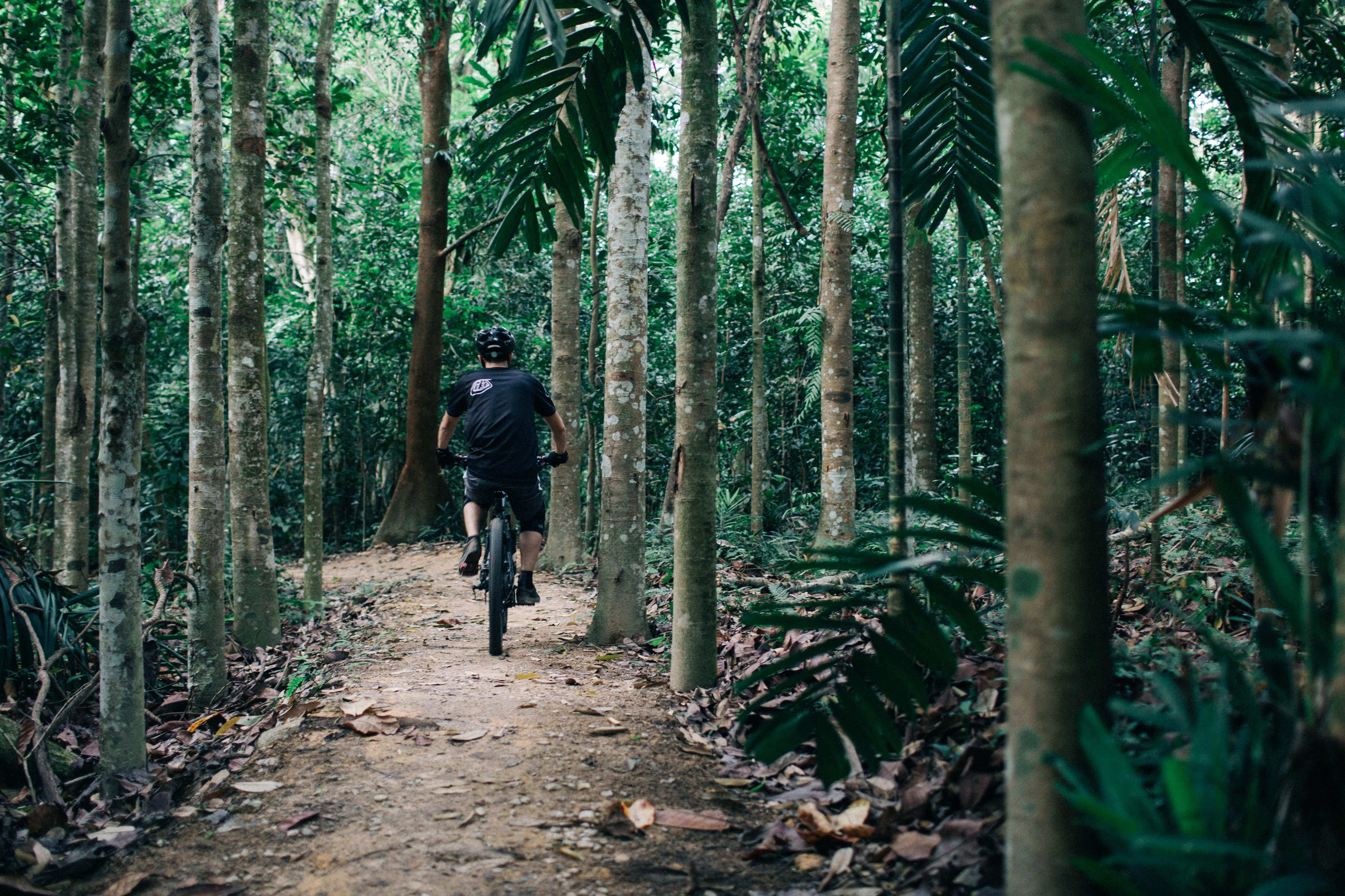 Chestnut store mtb trail