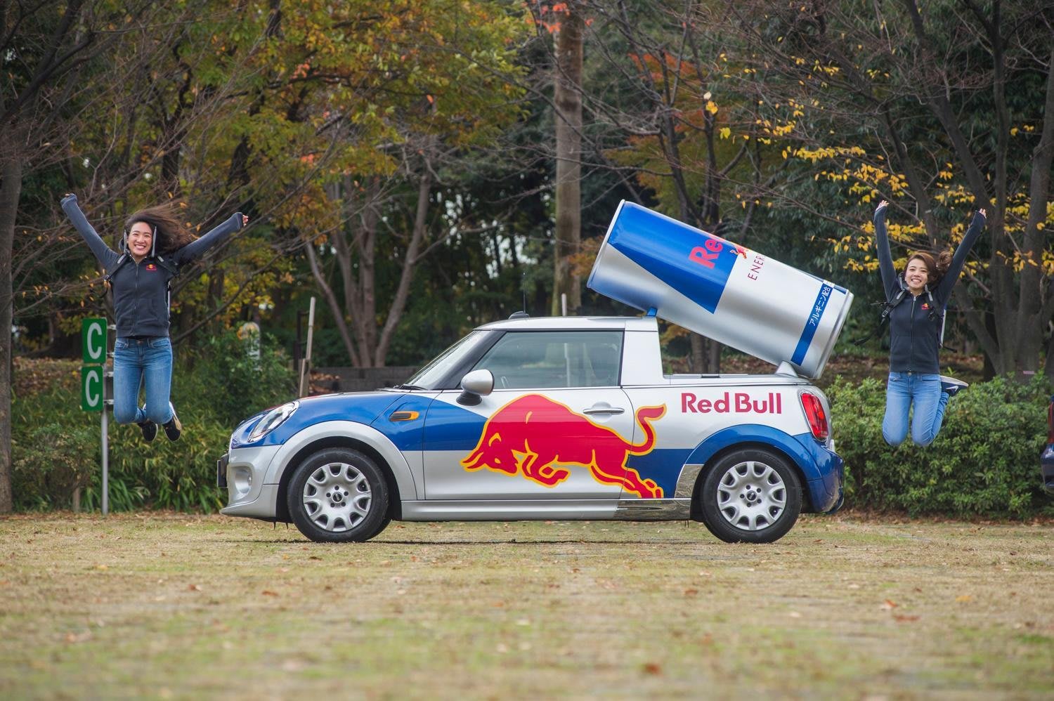 Red Bull MINIの秘密をついに初公開