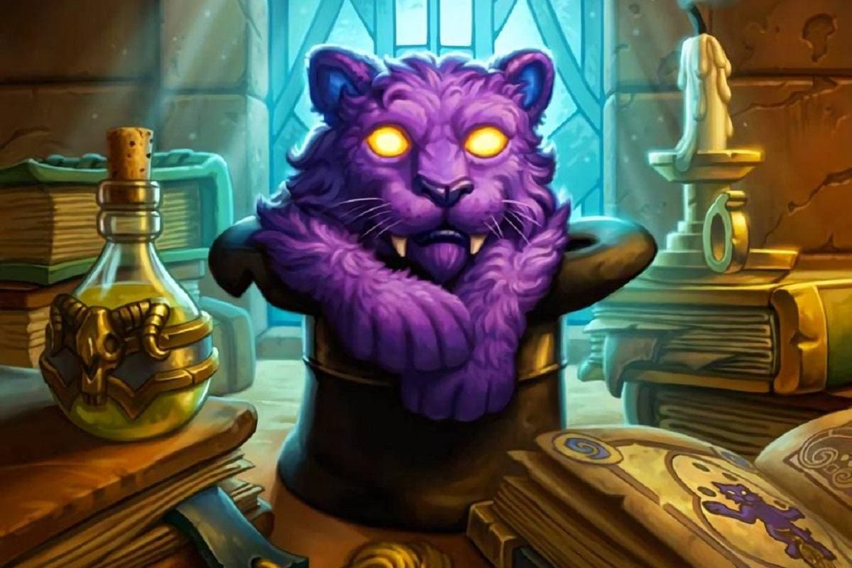 Hearthstone. Фокус Котус. Фокус Котус Хартстоун. Хартстоун арт. Кошка херстоун.