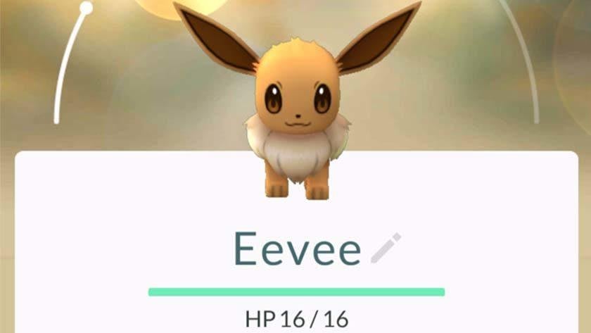 PokéMon Go Shiny Eevee Adrored with Cherry Blossoms - P”T C or Trade  Registered