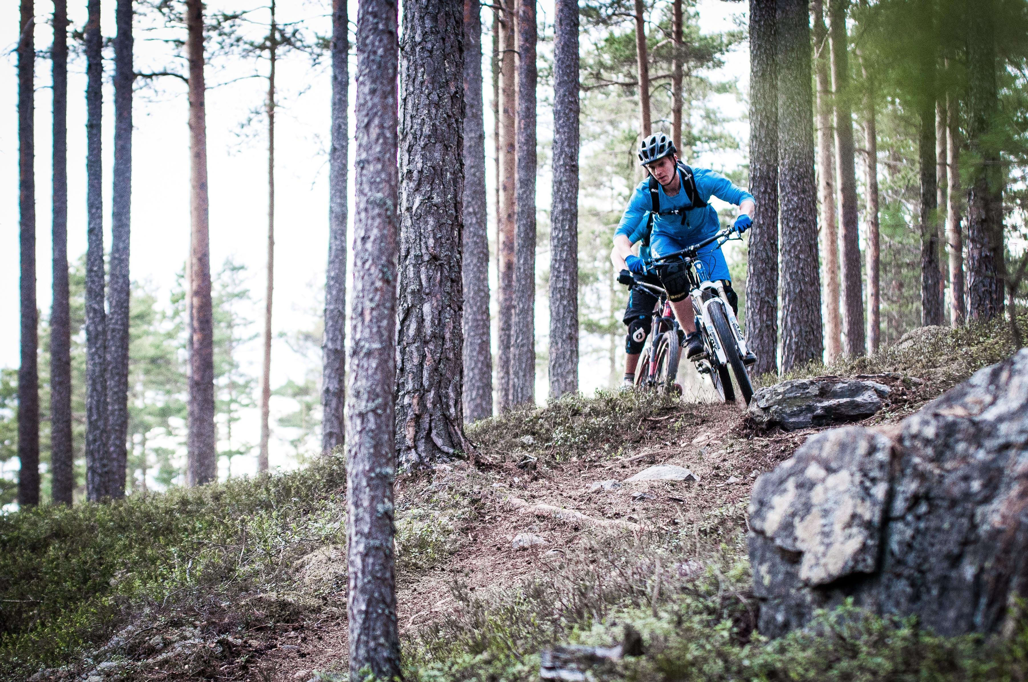 flowy mountain bike trails near me