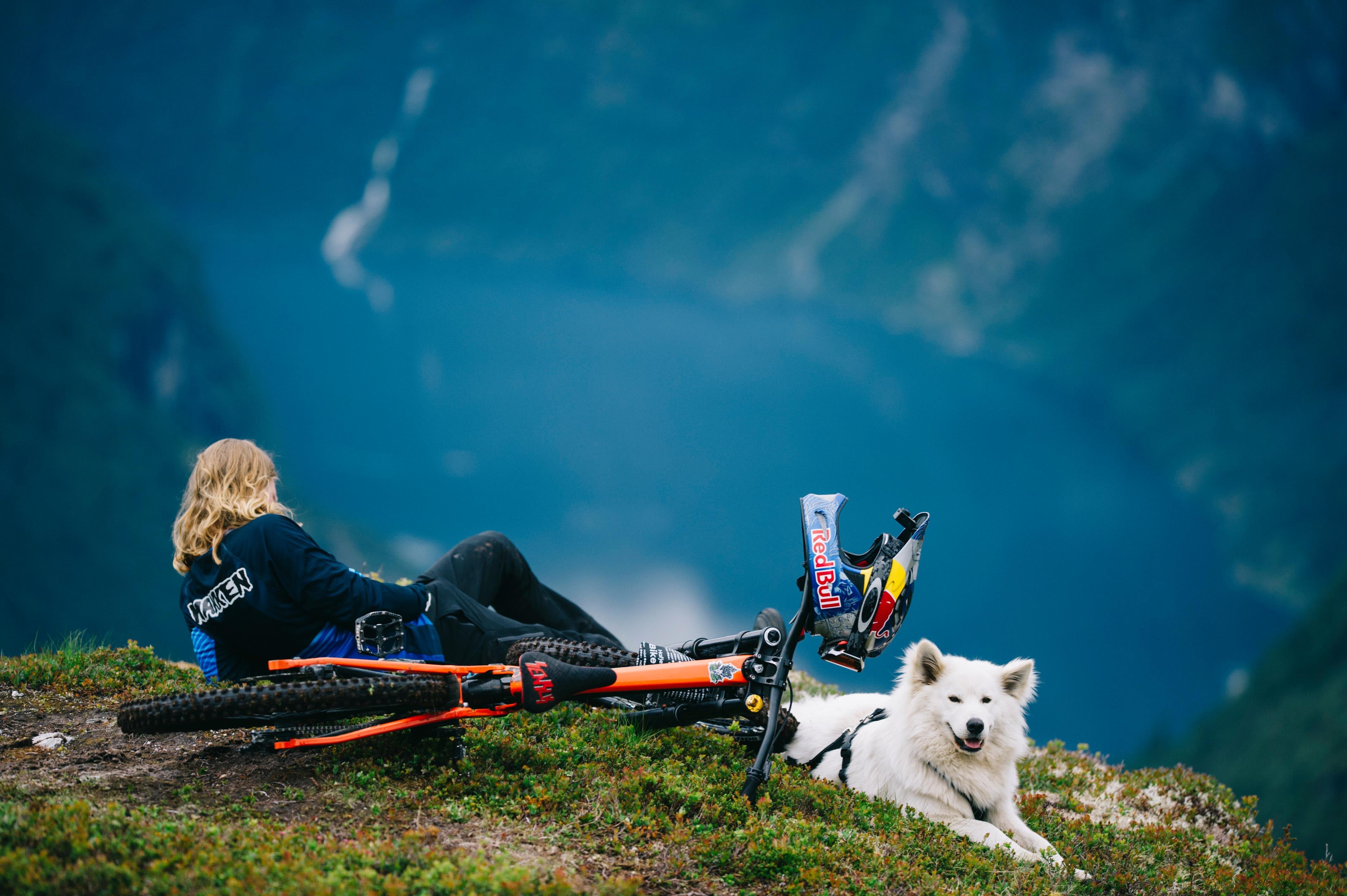 Животное экстрим. Сурикаты фото смешные. Летающий жираф. Съемка животных в дикой природе. Животные путешественники.