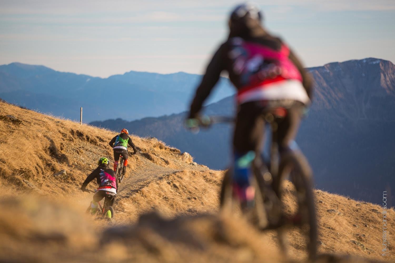 MTB Itinerari: In Val di Sole il regno del gravity
