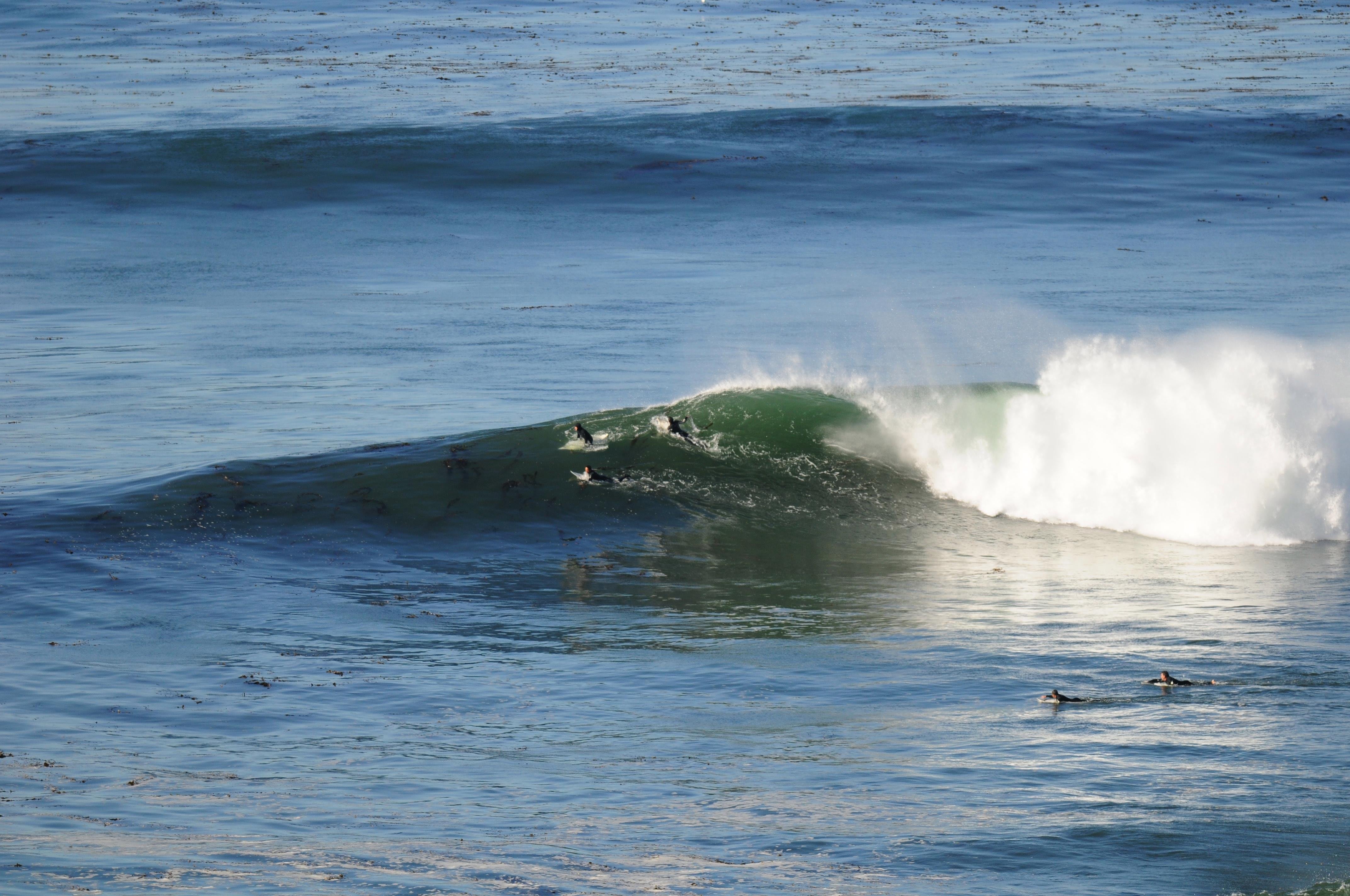 Best surf spots California 7 breaks you NEED to visit