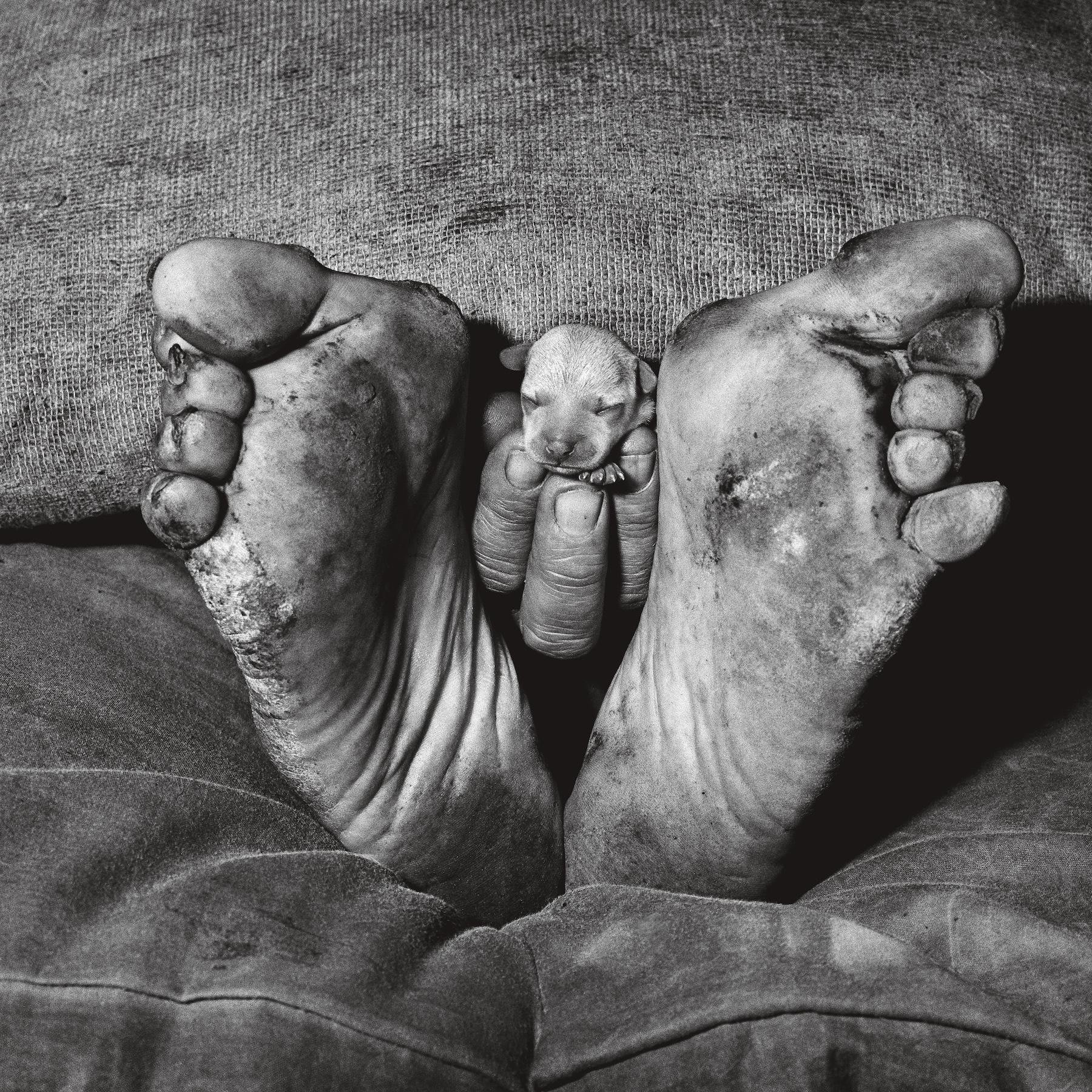 アート・デザイン・音楽 ROGER BALLEN Fotografien 1969--2009 18％OFF】 ROGER BALLEN Fotografien 1969--2009 アート