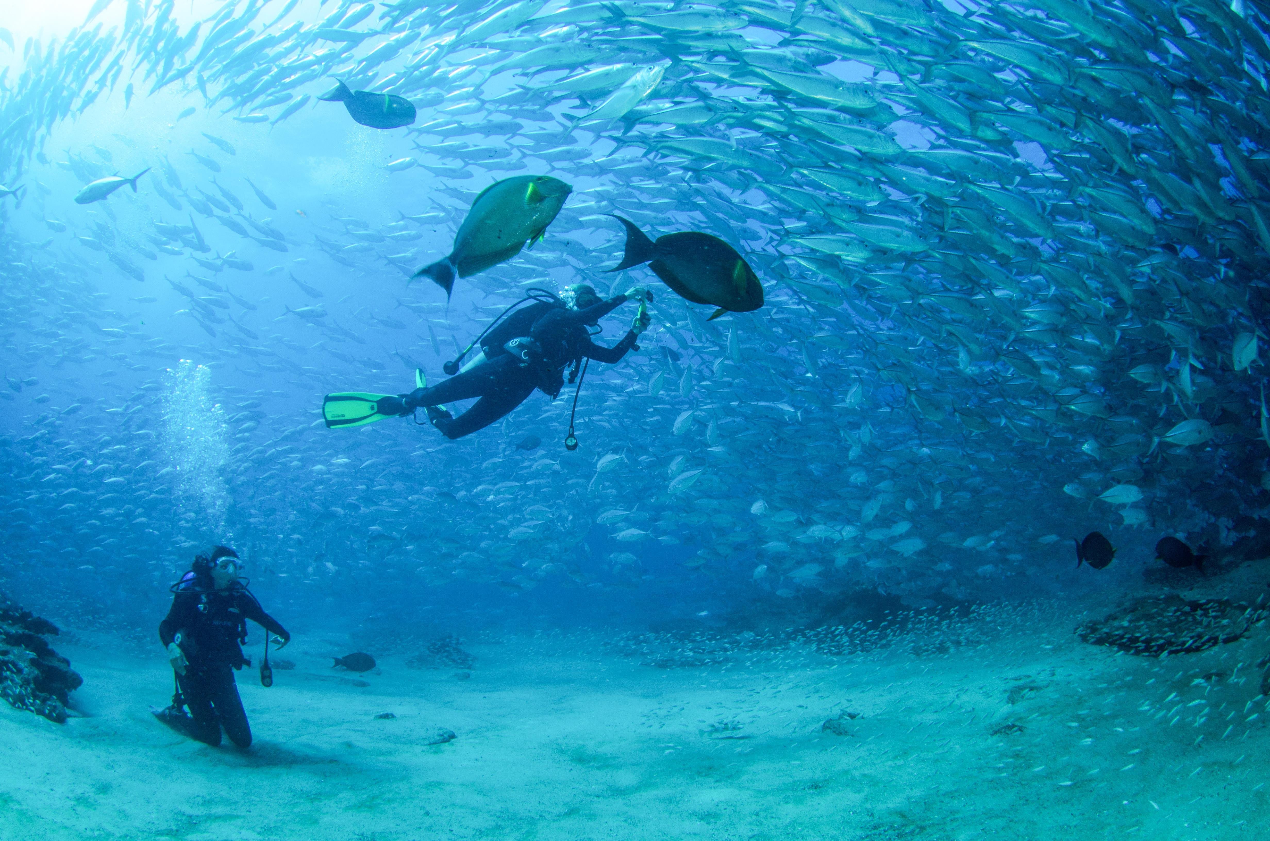 Scuba diving tips: 11 things that will make you a pro