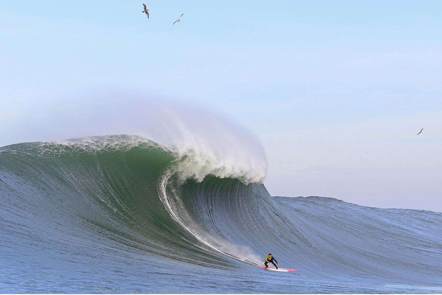 Mavericks deals 2020 surf