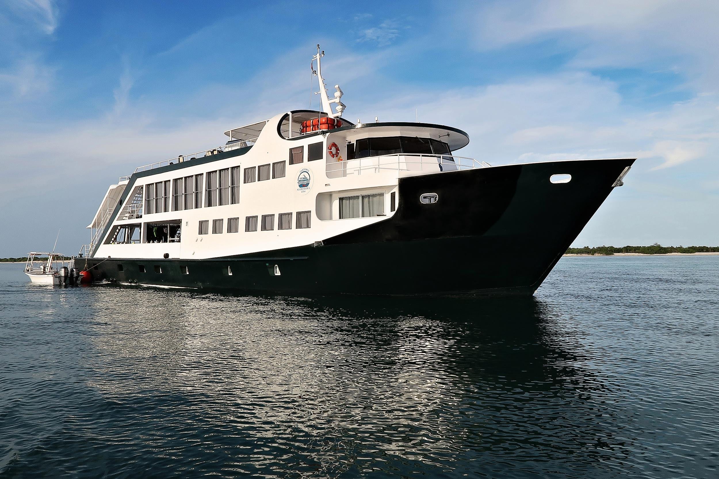 キューバでワニ サメとダイビング