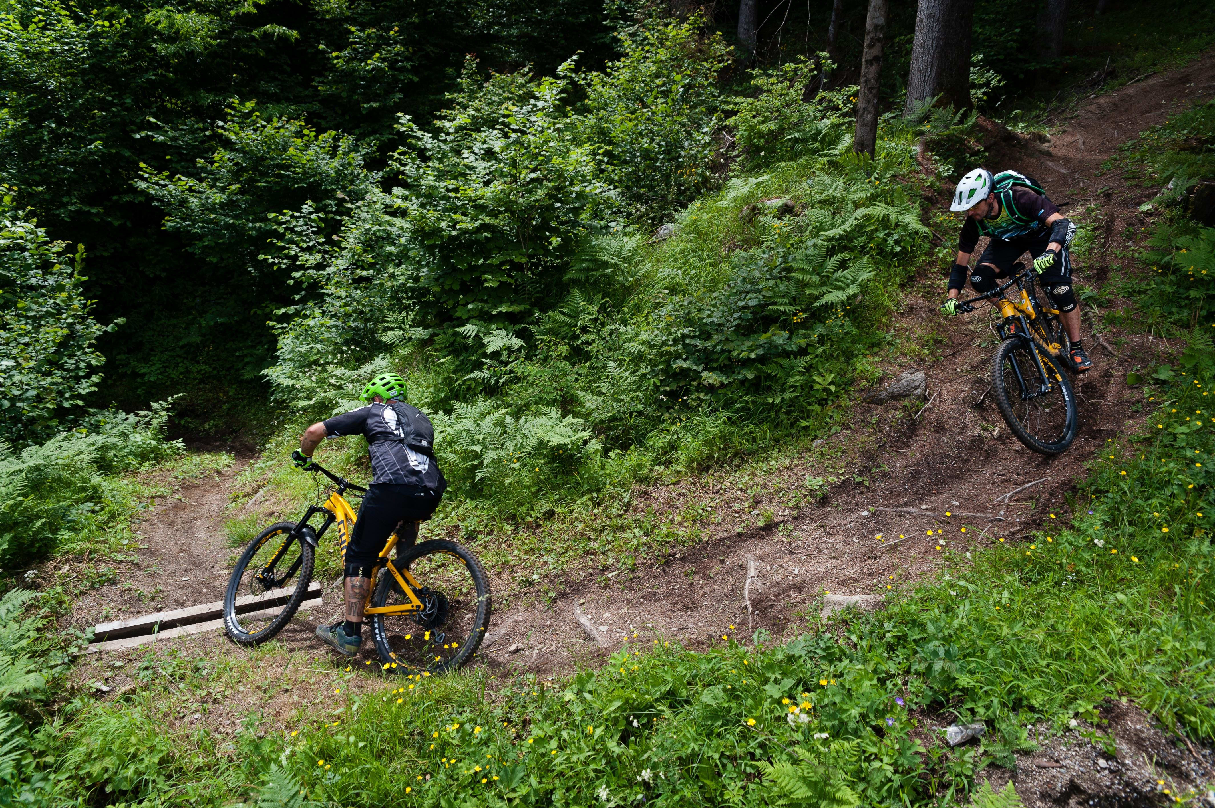 POV: Val di Sole - La Preda trail