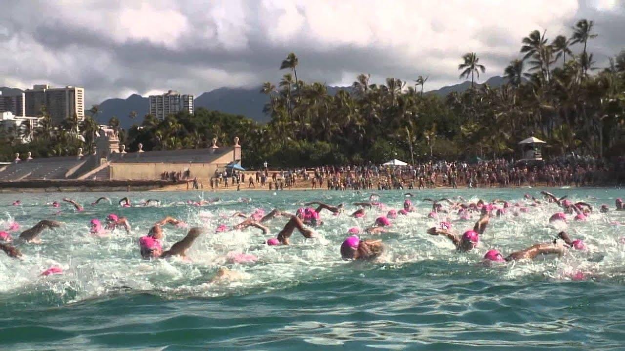 Events, Coral Reef Swim Race