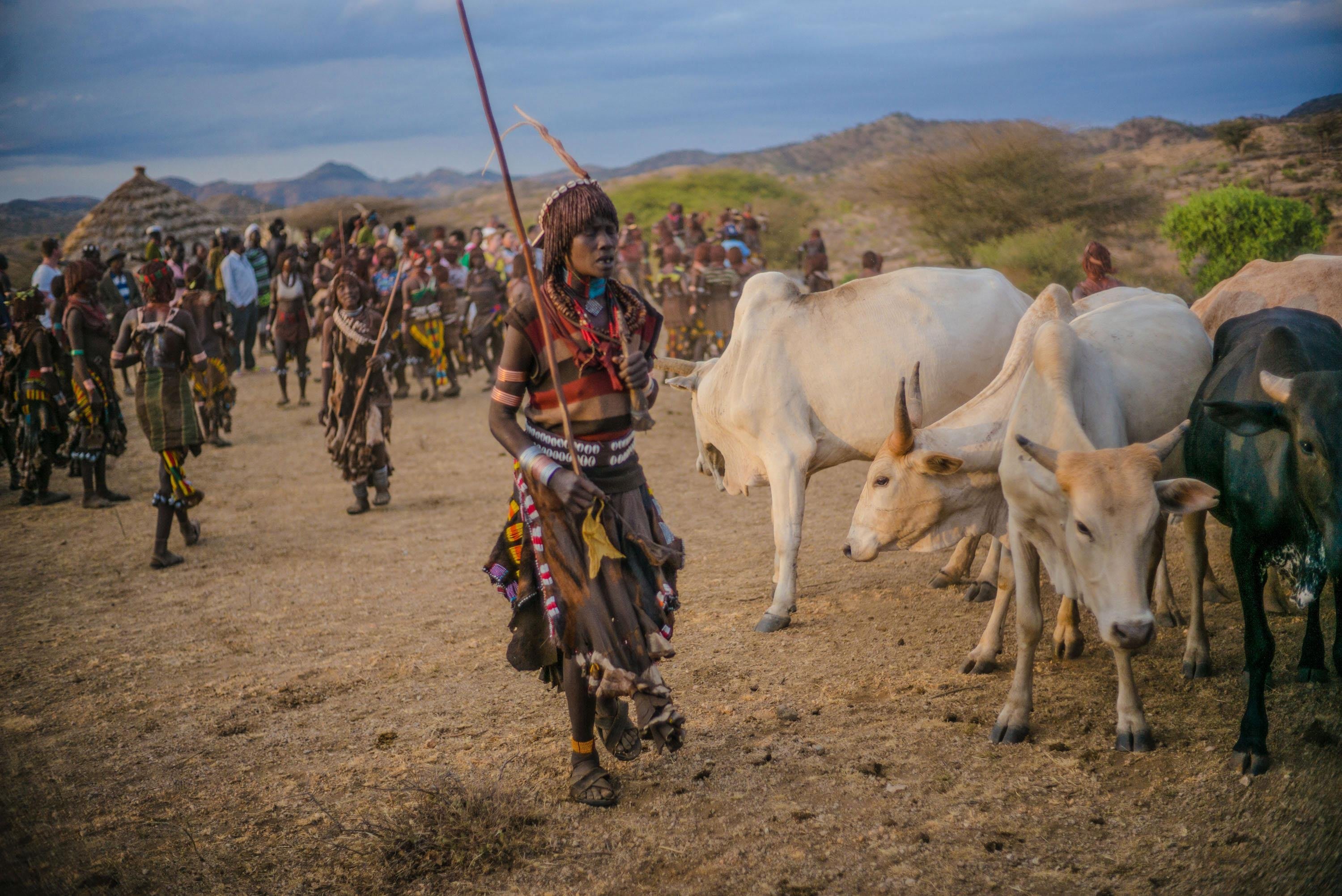 Bull Jumping: Ritual y deporte extremo en África