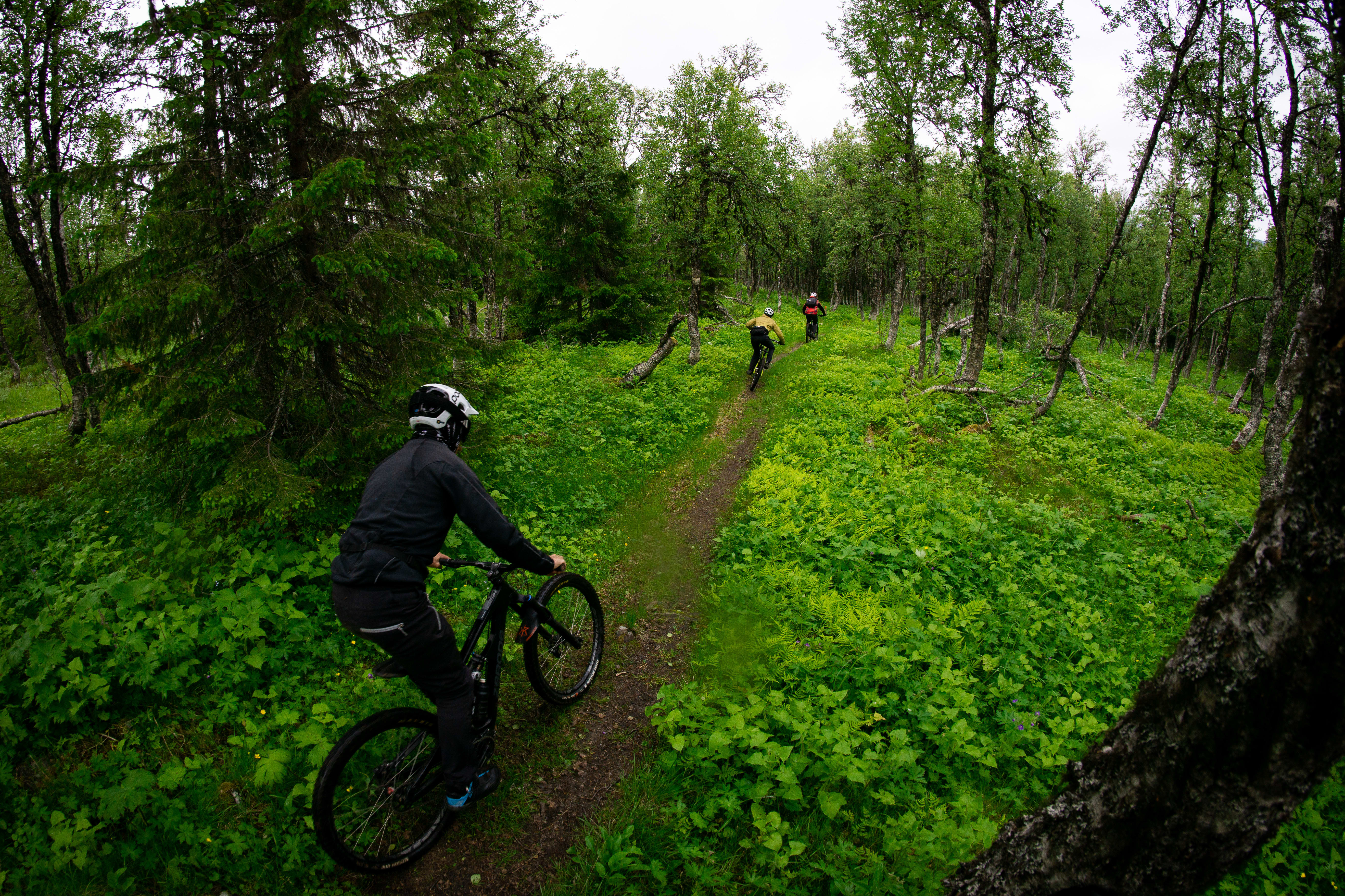 bike the trail