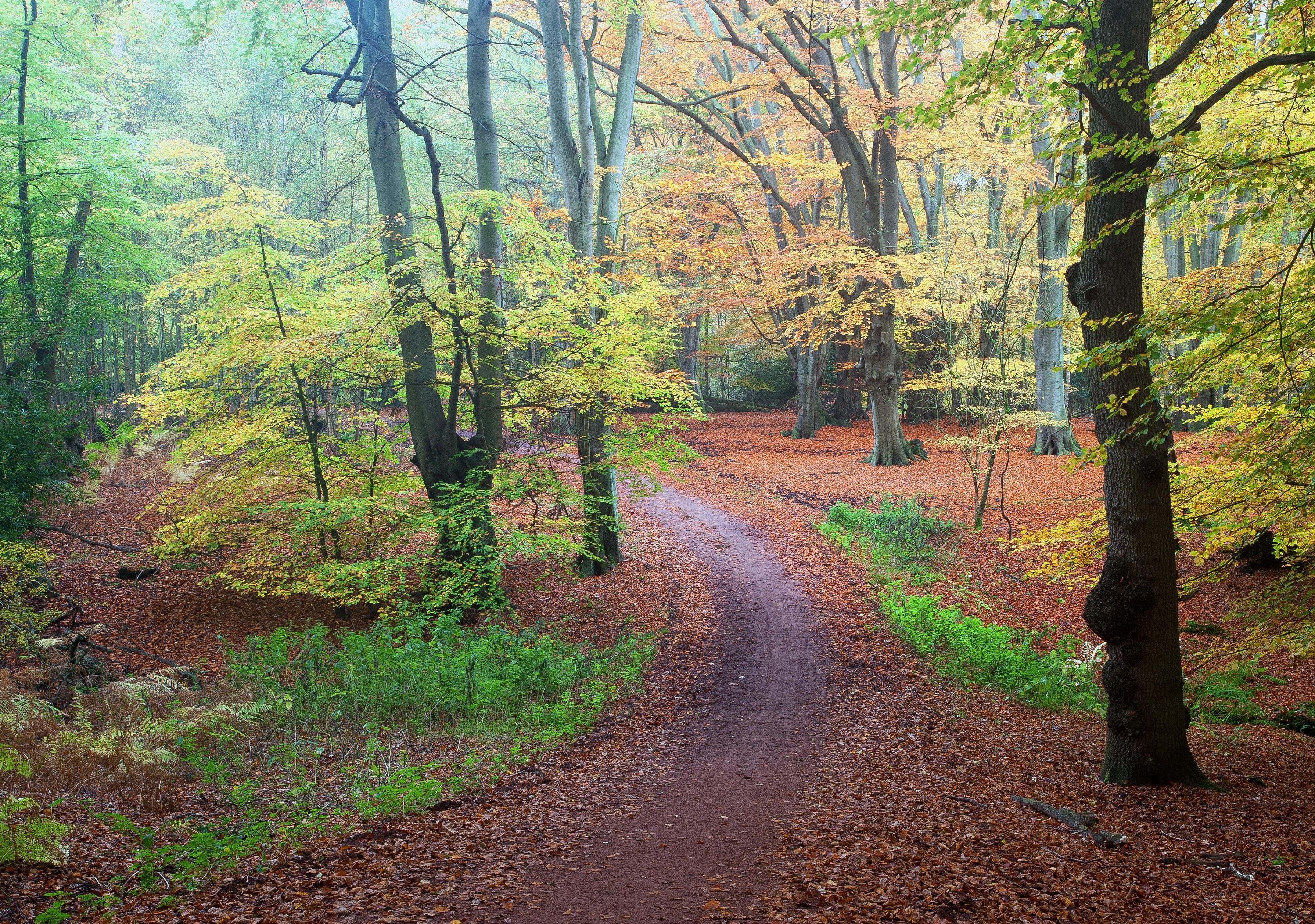 trail centres near me