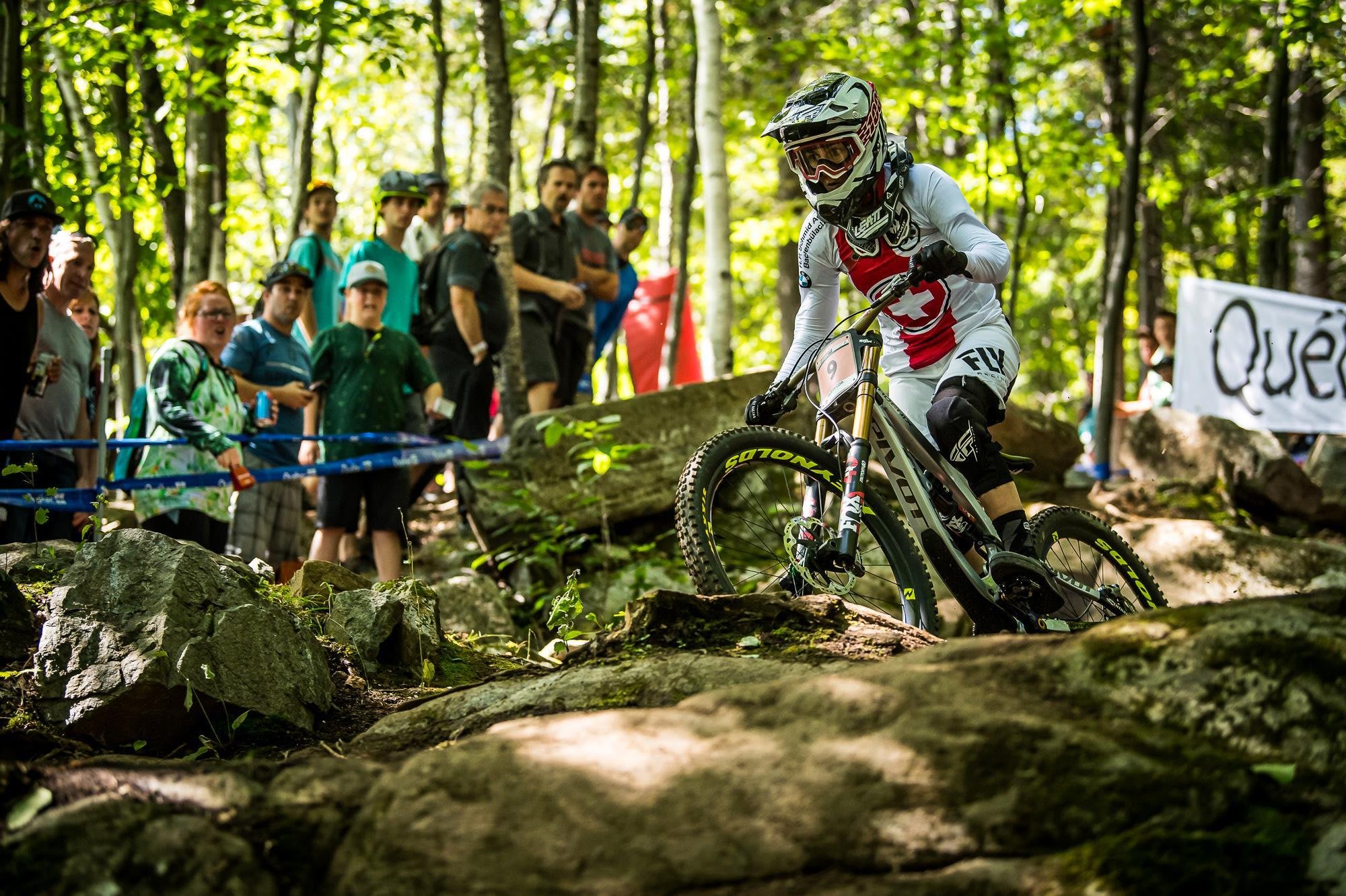 Dh world champs 2019 on sale