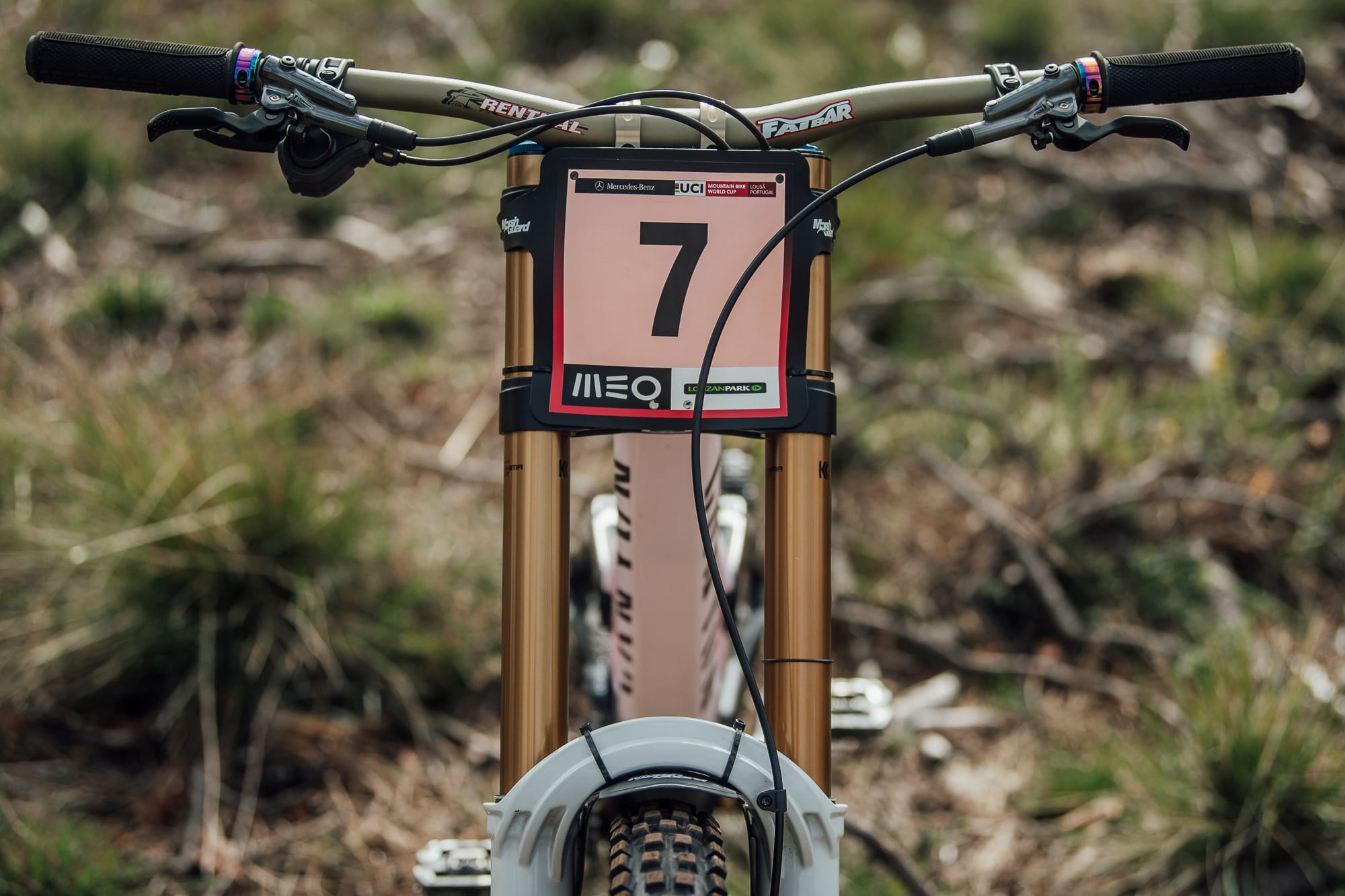 タニー・シーグレイブの最新DHバイクCanyon Senderを徹底解剖！| MTB